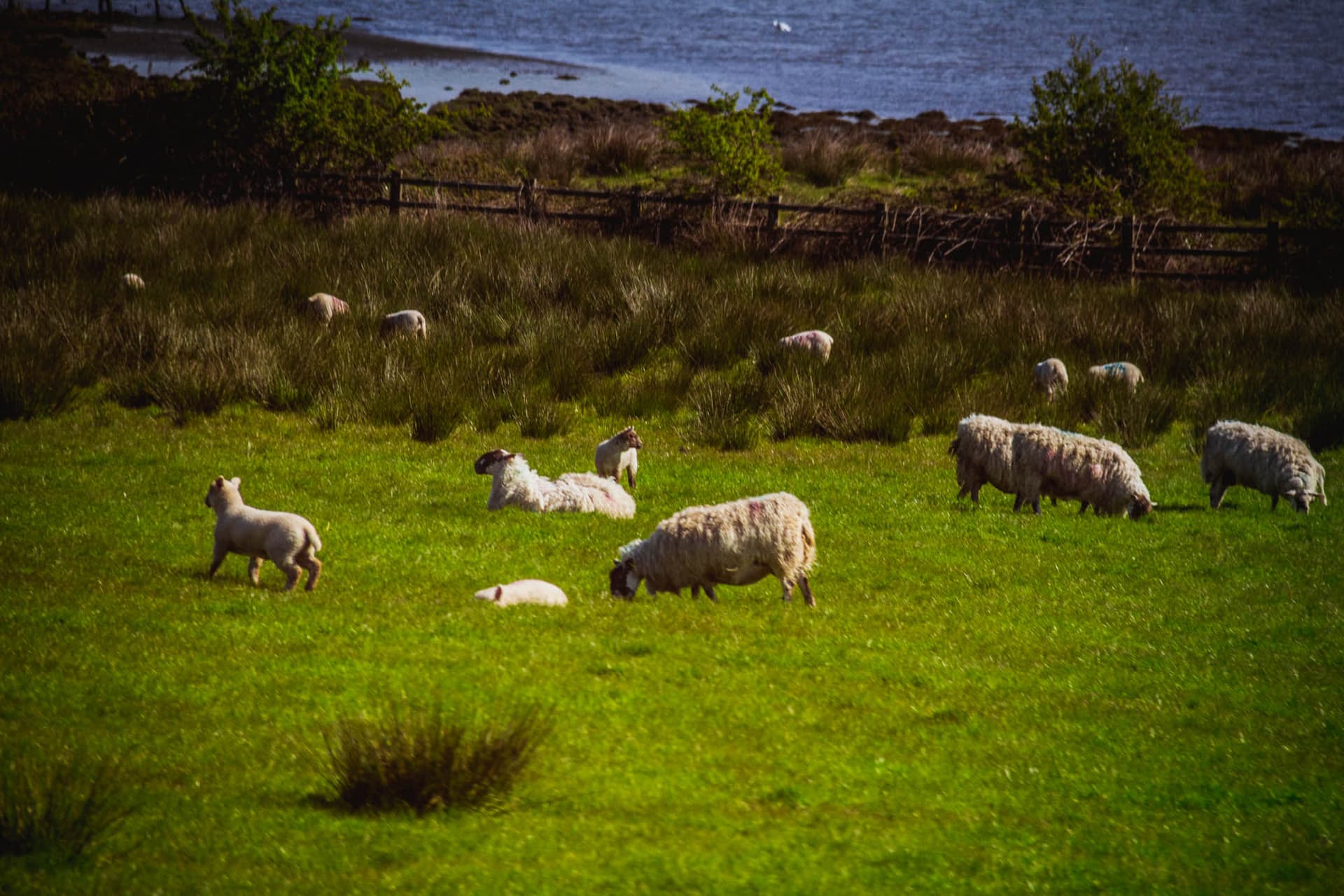Northern Ireland