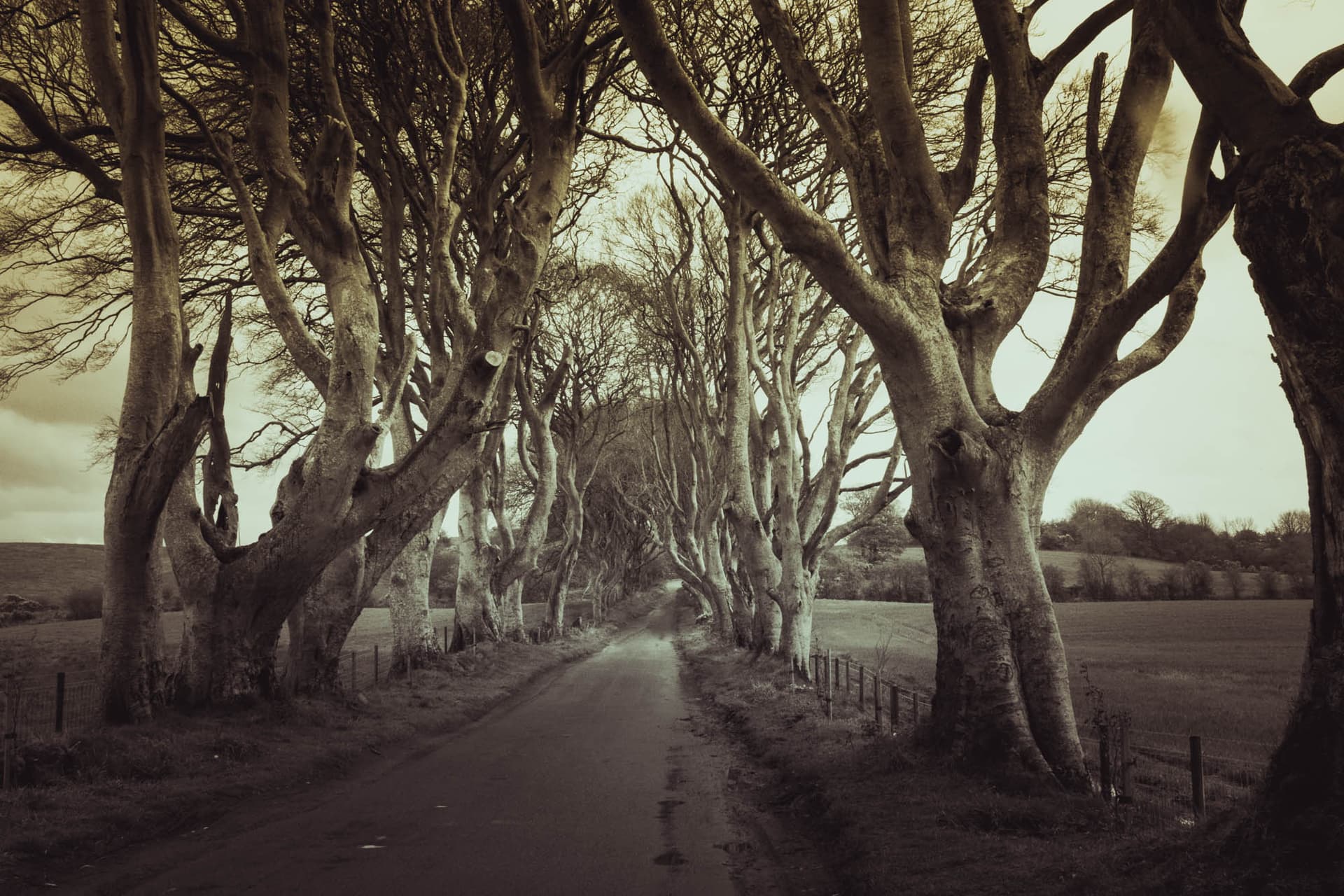 Northern Ireland
