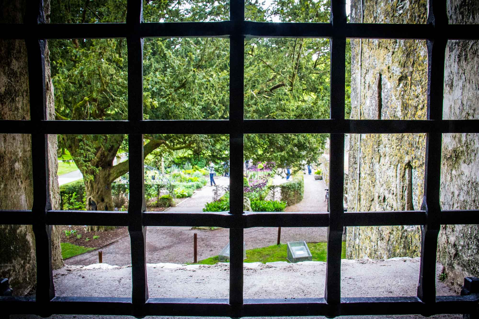 Blarney Castle Ireland