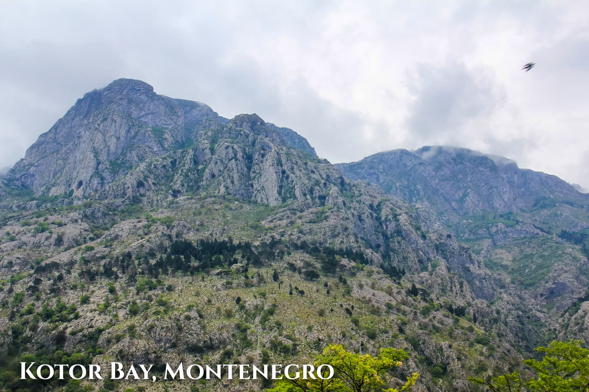 Kotor Bay Montenegro