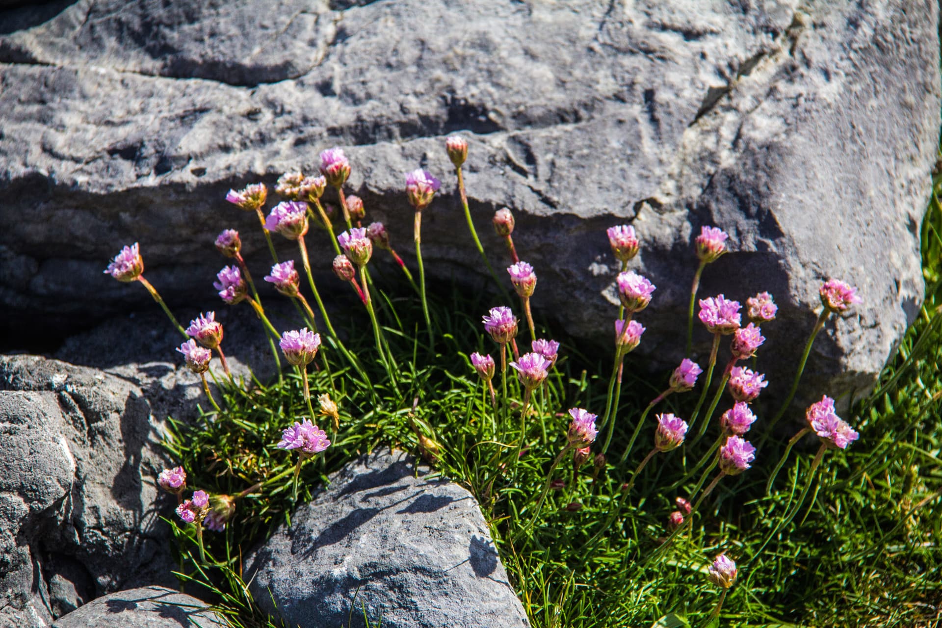 Western Ireland