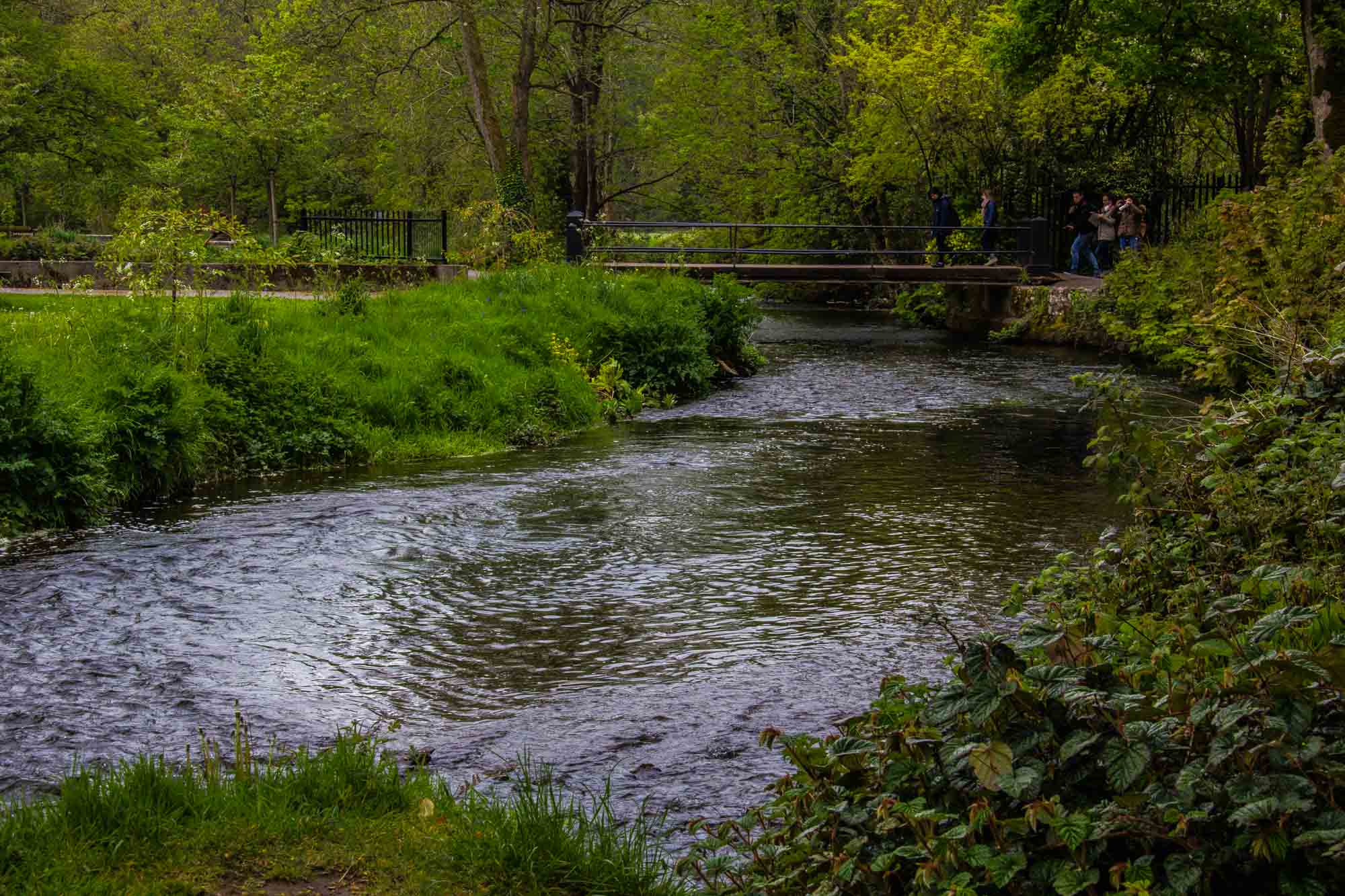 Blarney Castle Ireland