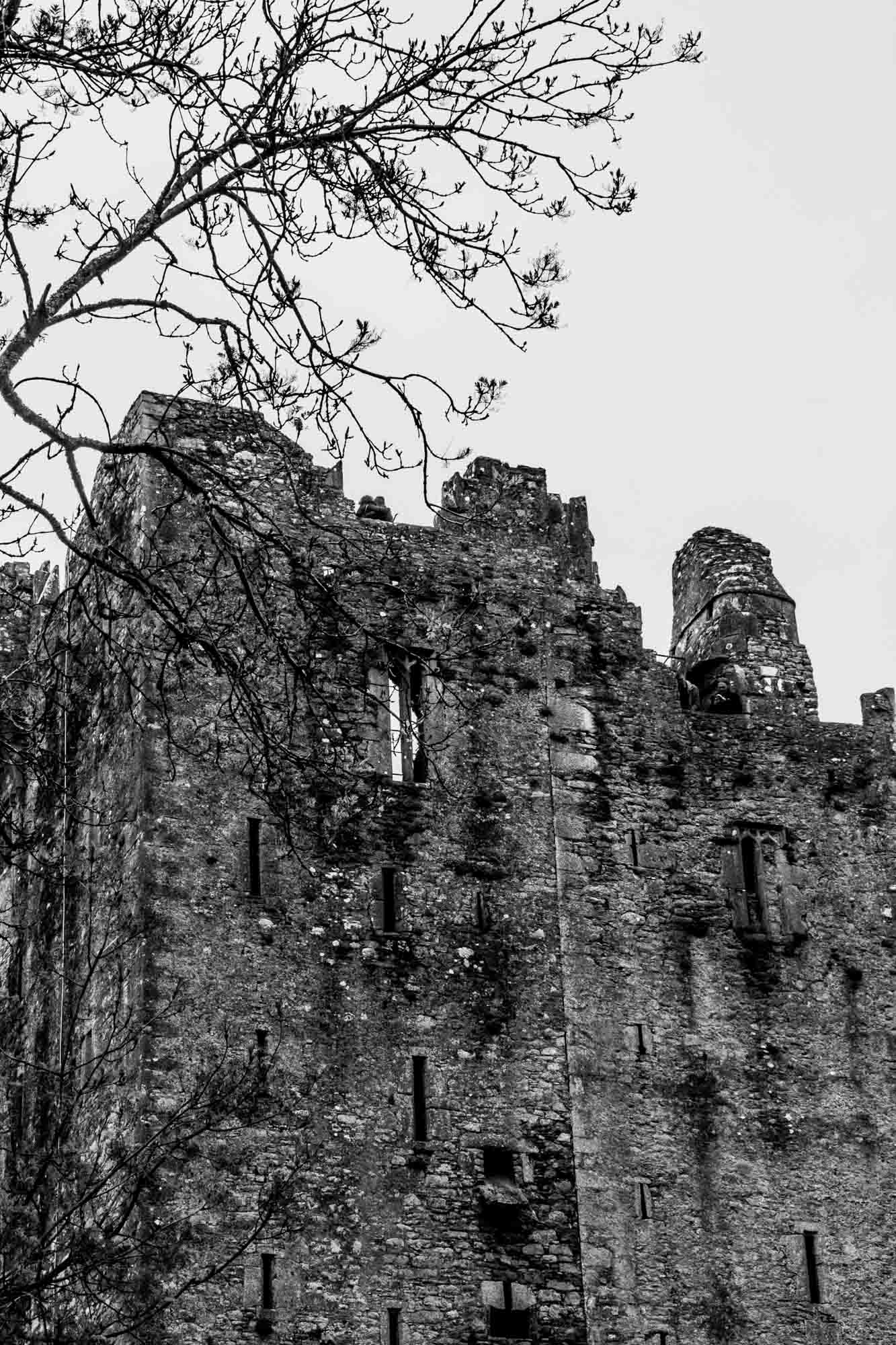 Blarney Castle Ireland