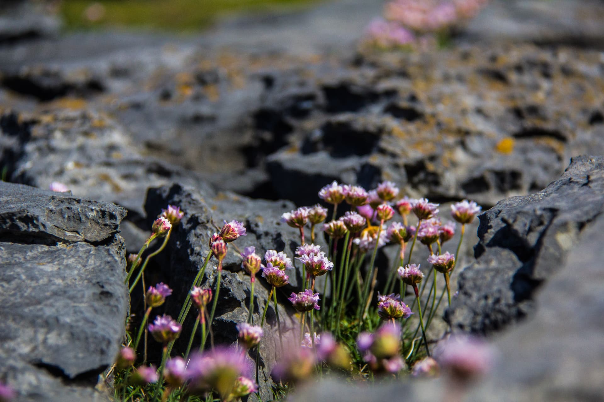 Western Ireland