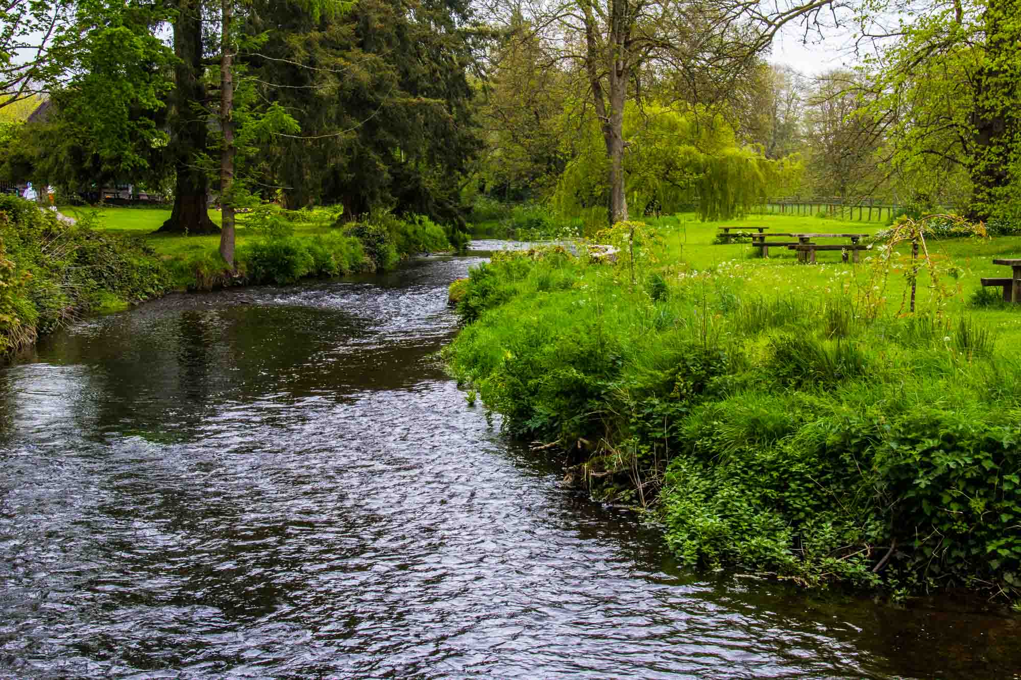 Blarney Castle Ireland