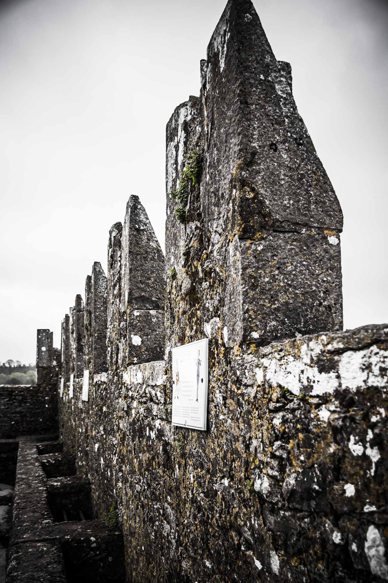 Blarney Castle Ireland