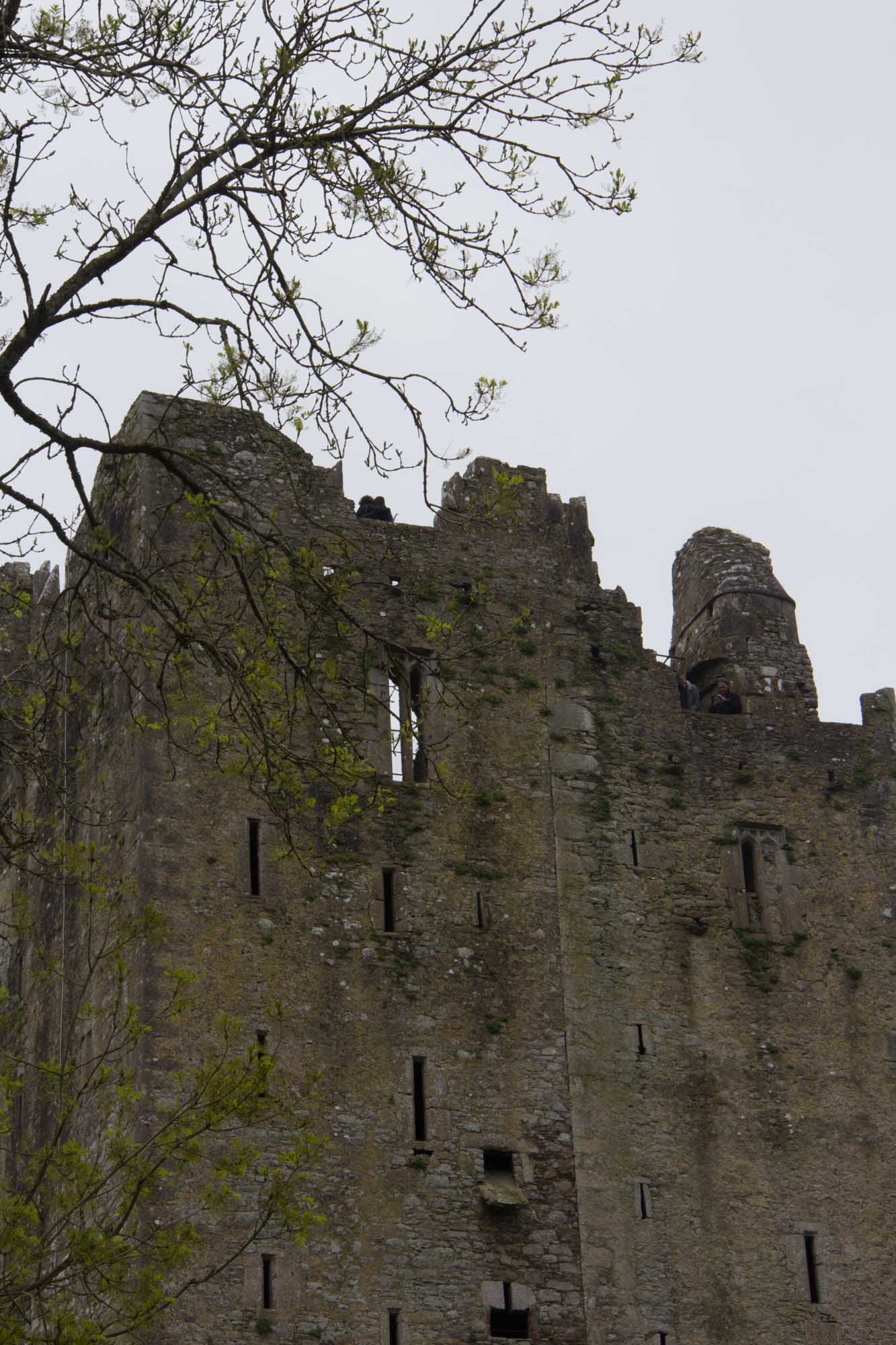 Blarney Castle Ireland