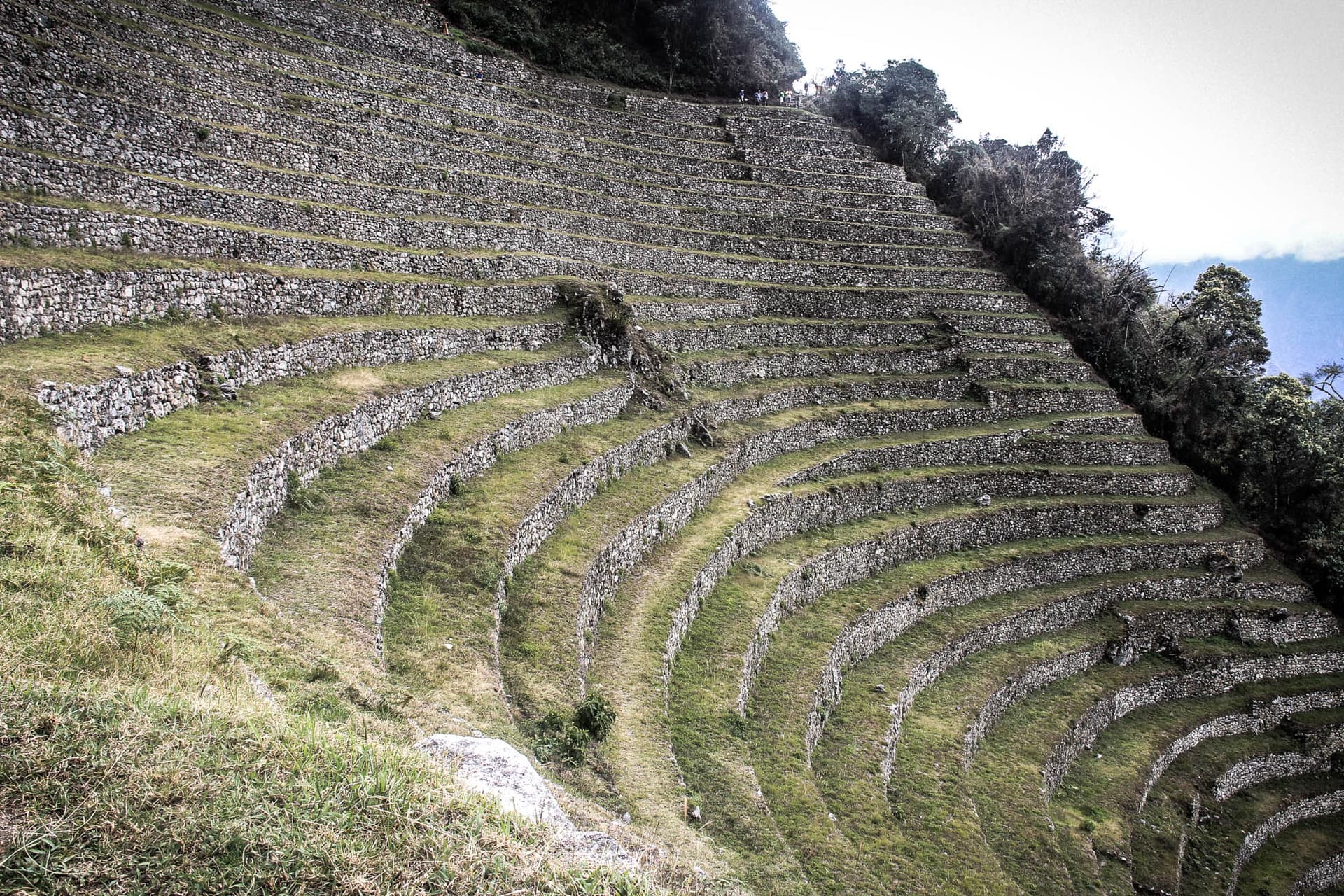 Incan Trail & Machu Picchu