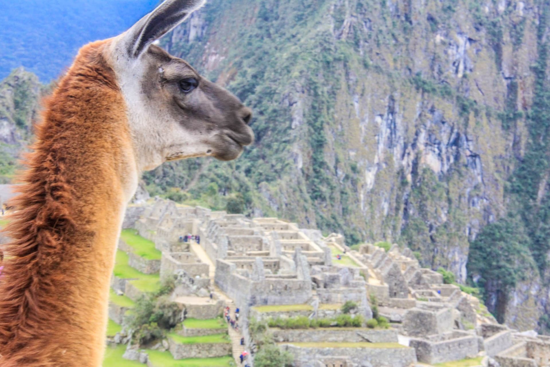 Incan Trail & Machu Picchu