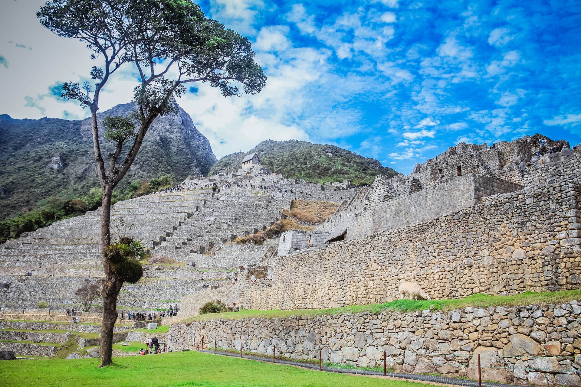 Incan Trail & Machu Picchu