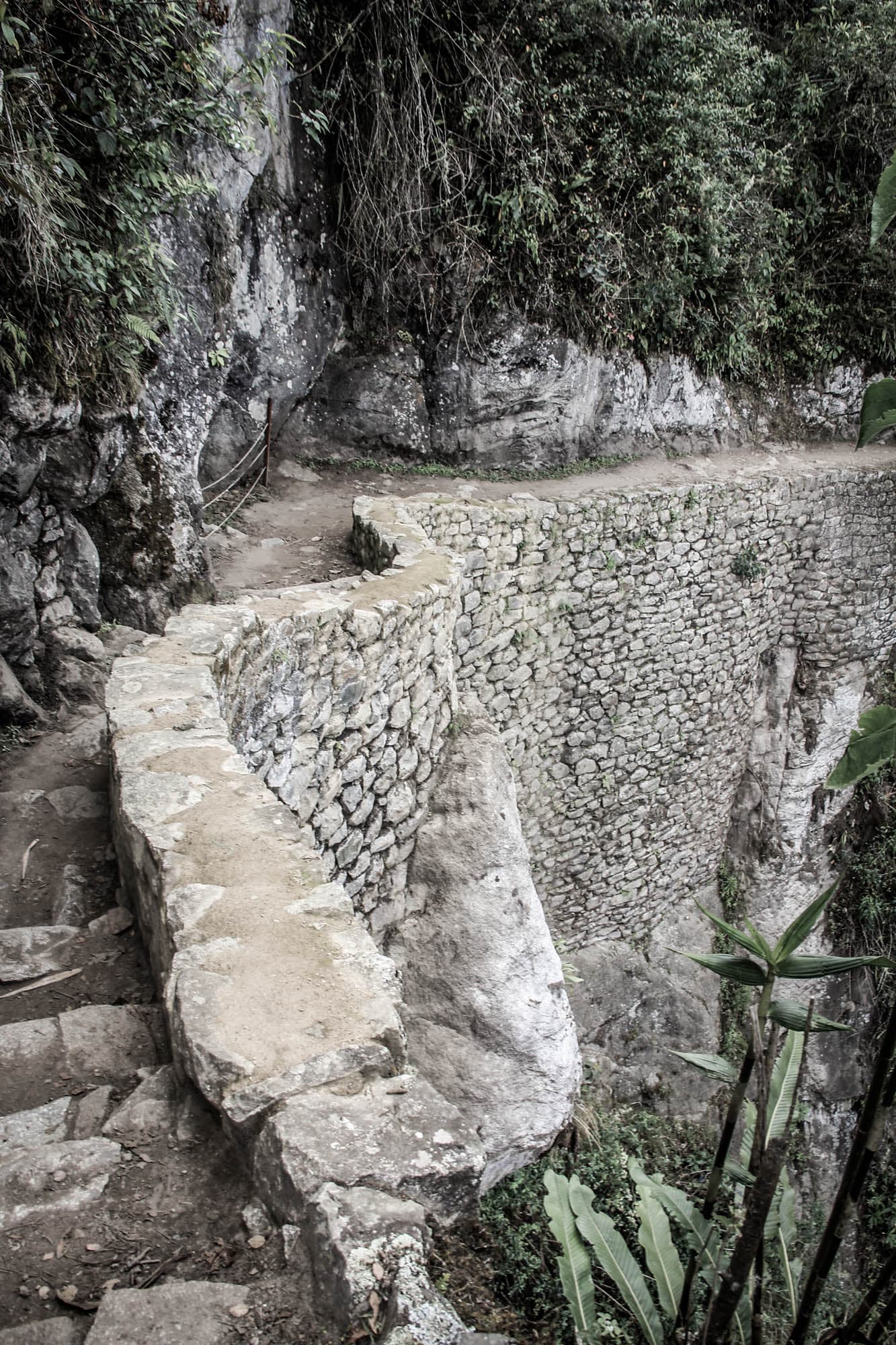 Incan Trail & Machu Picchu