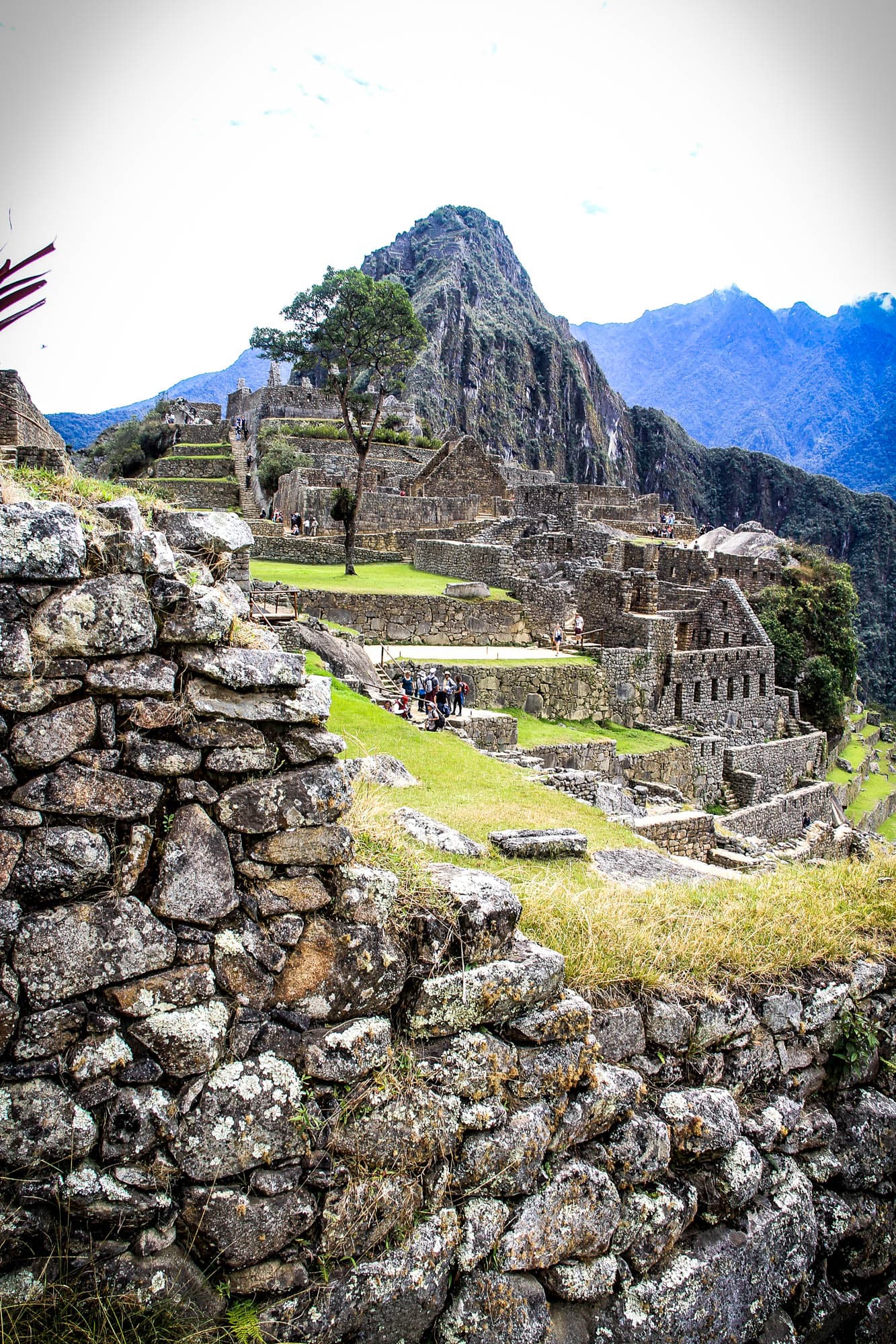 Incan Trail & Machu Picchu