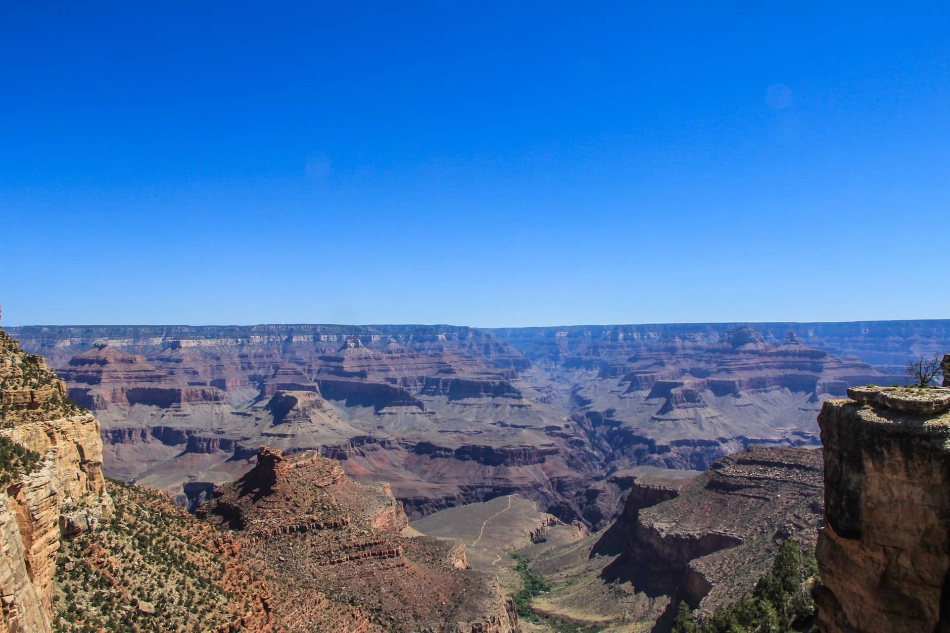 Arizona