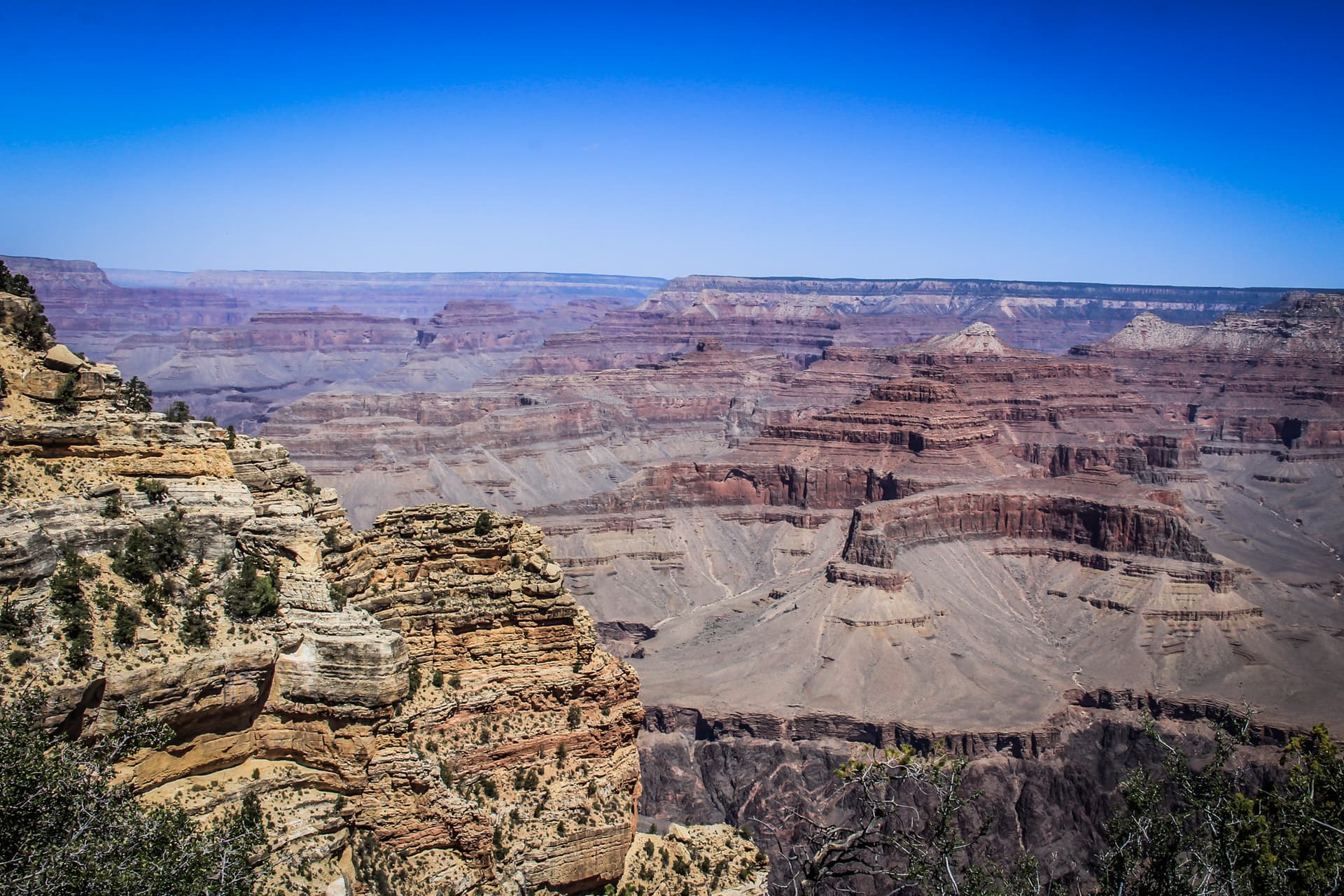 Arizona