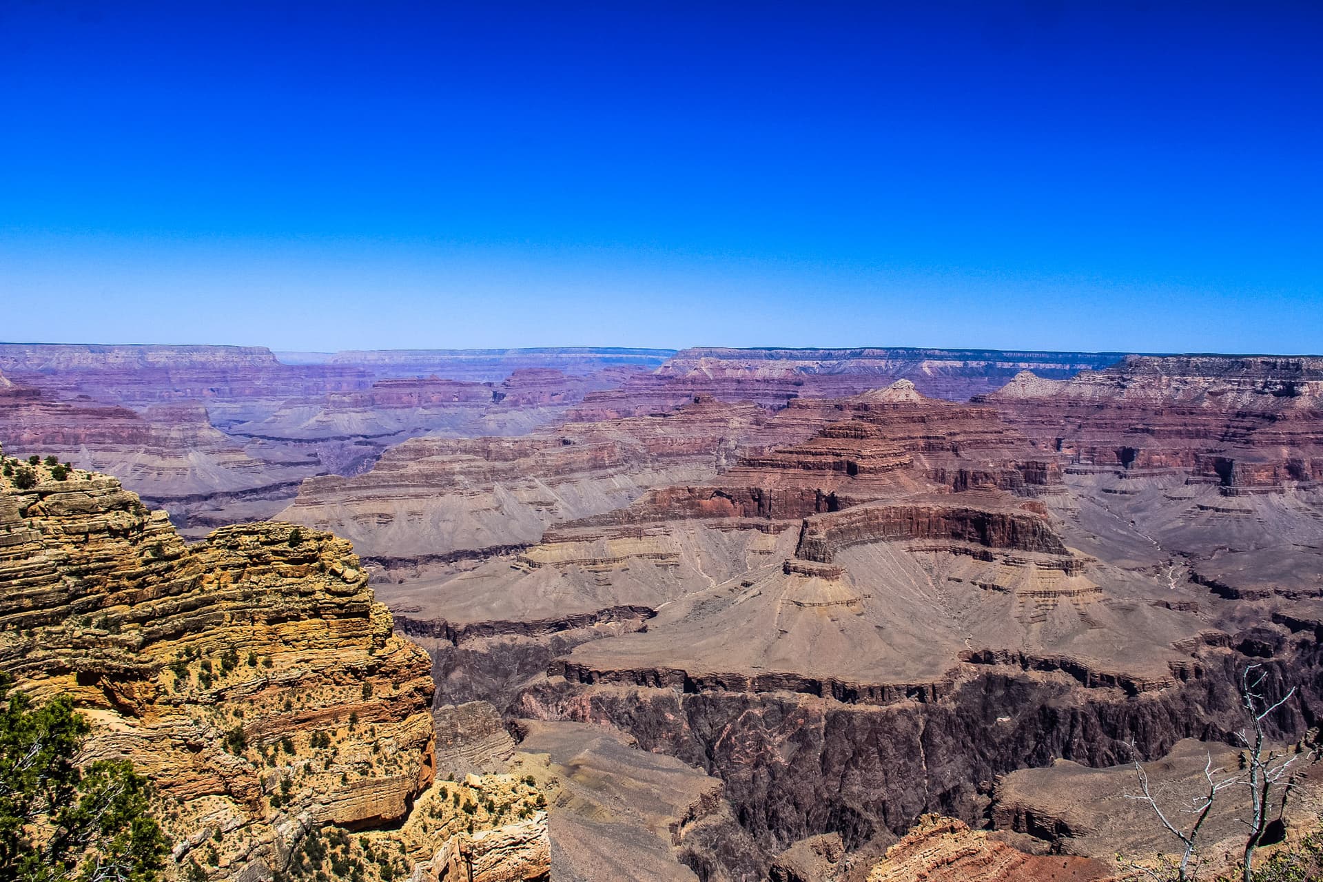 Arizona