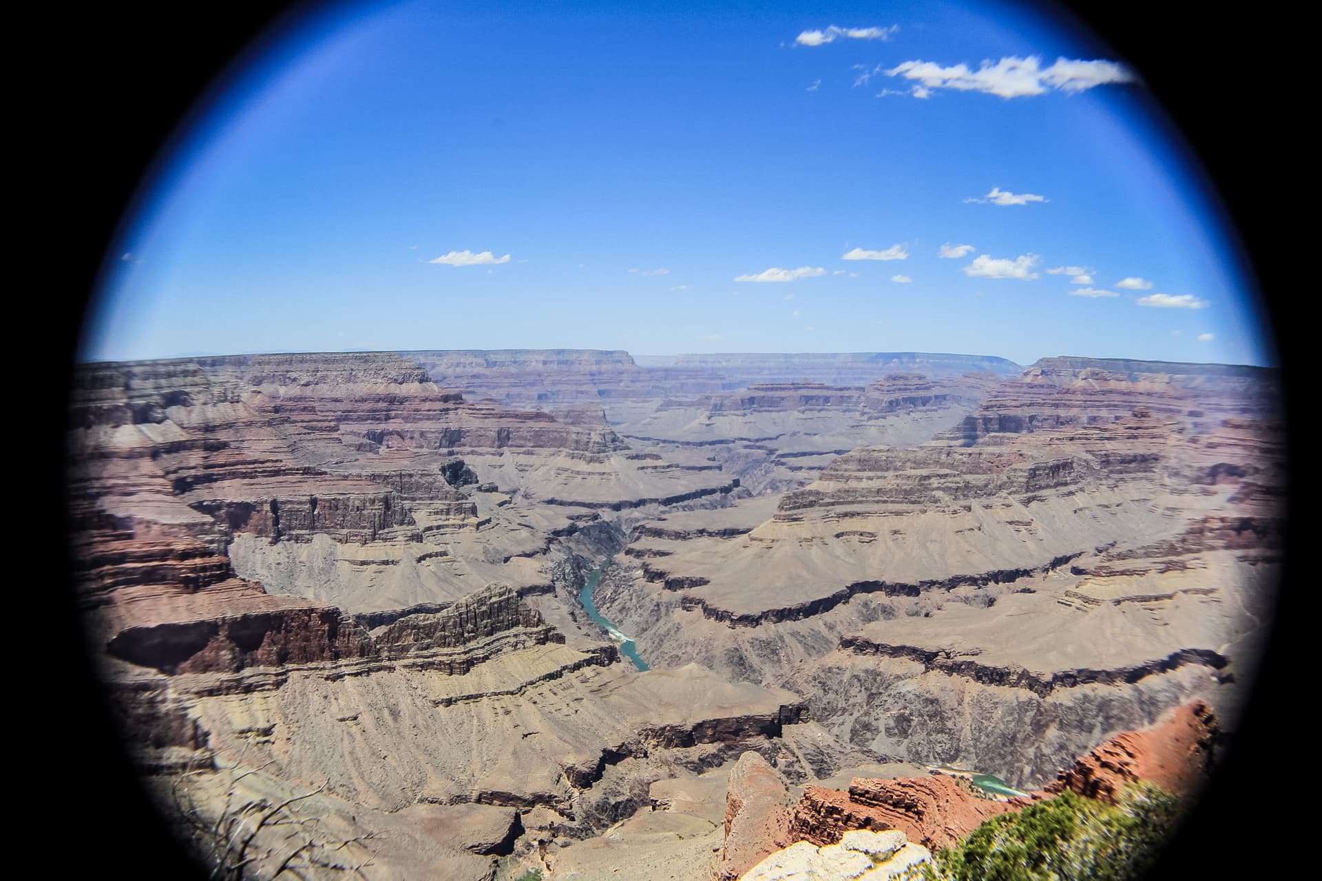 Arizona