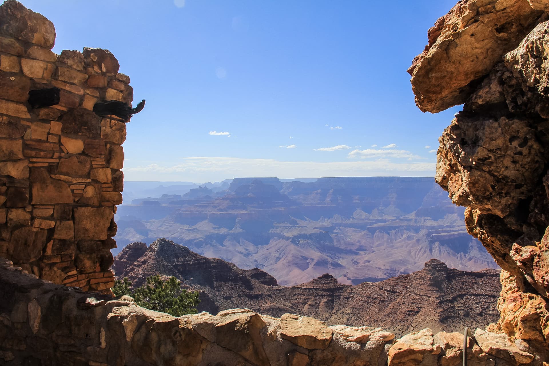 Arizona