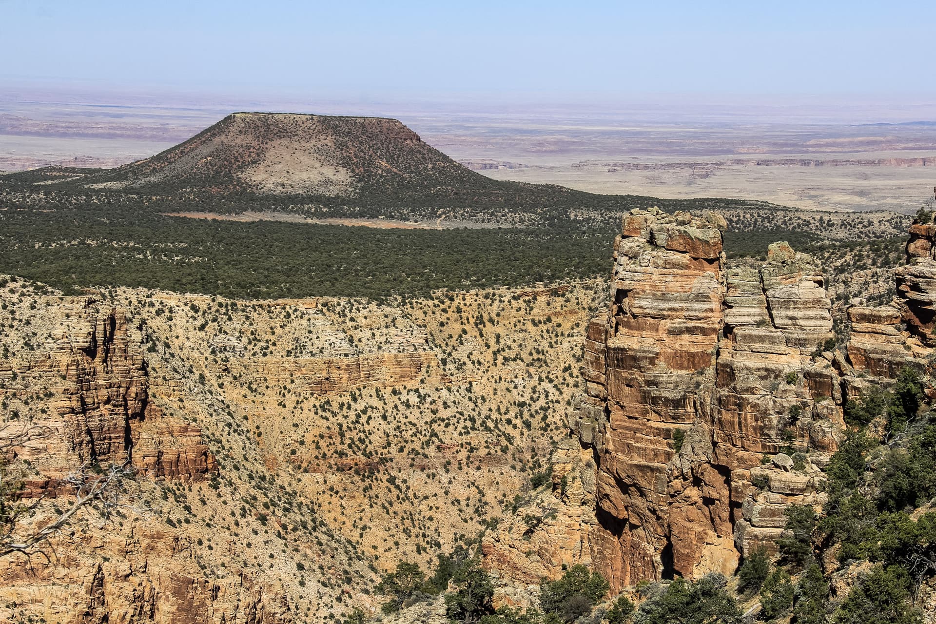 Arizona