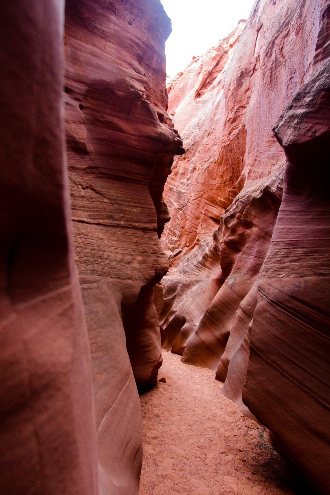 Arizona