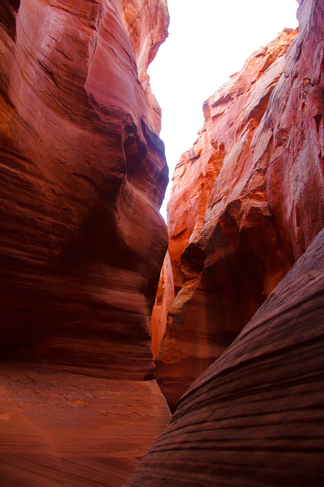Arizona
