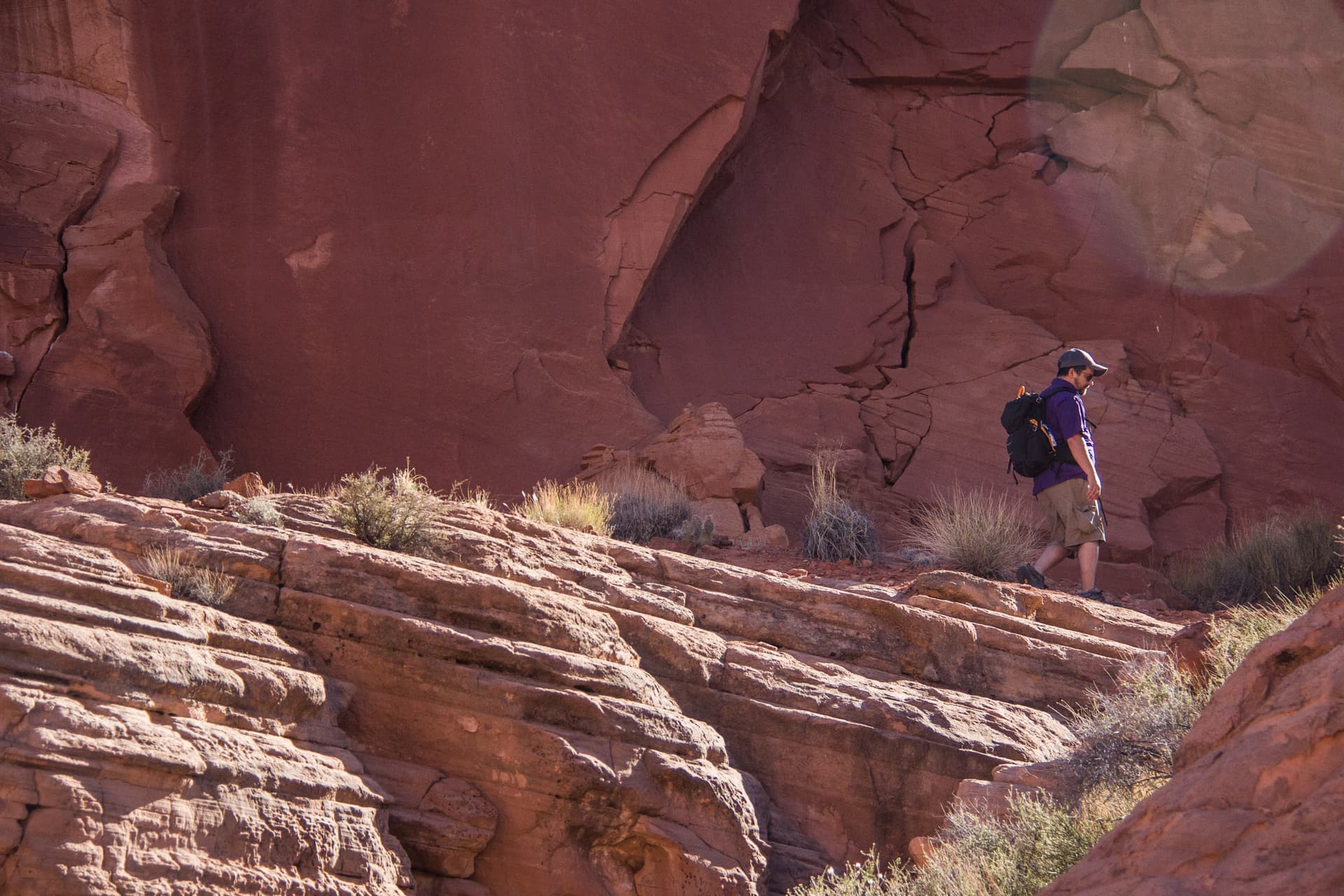 Arizona