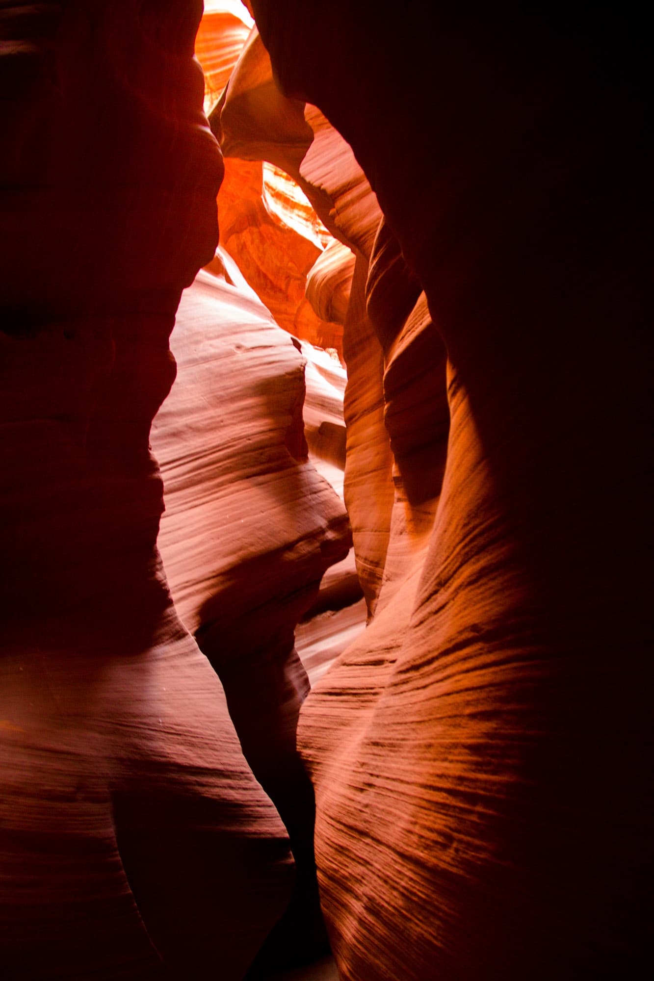 Arizona