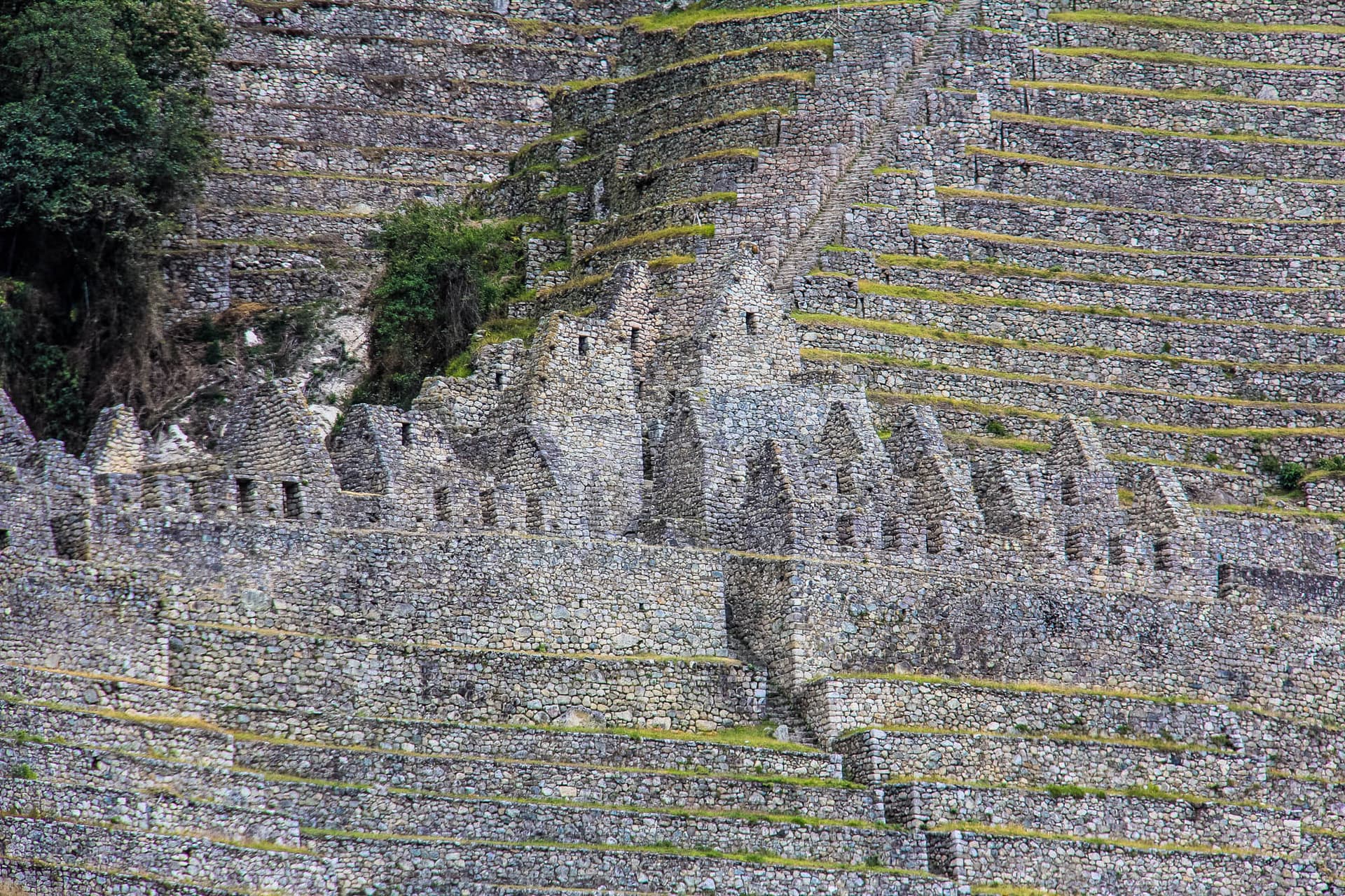 Incan Trail & Machu Picchu