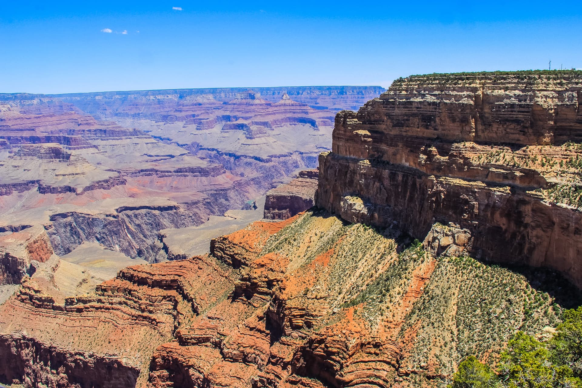 Arizona