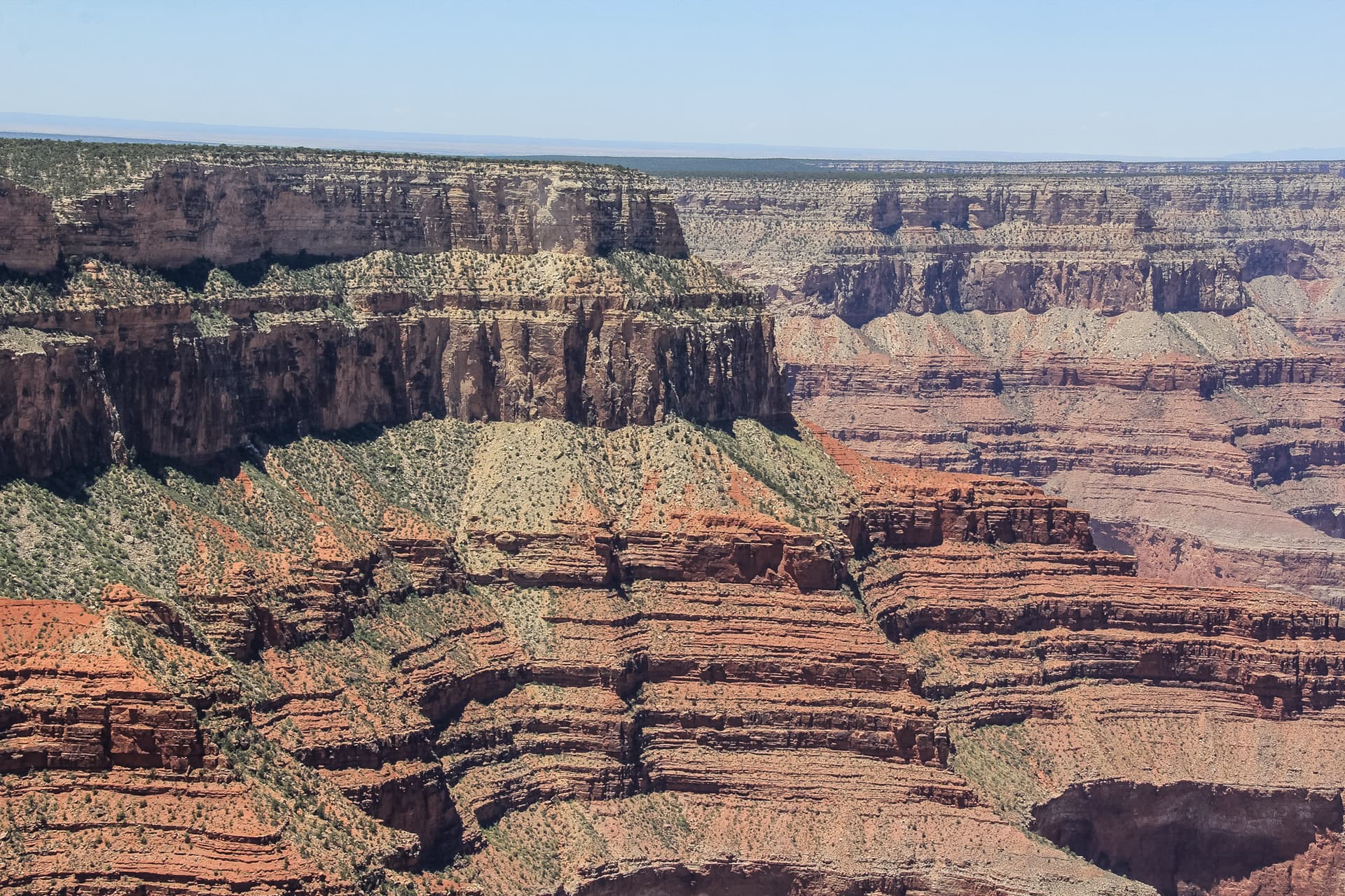 Arizona