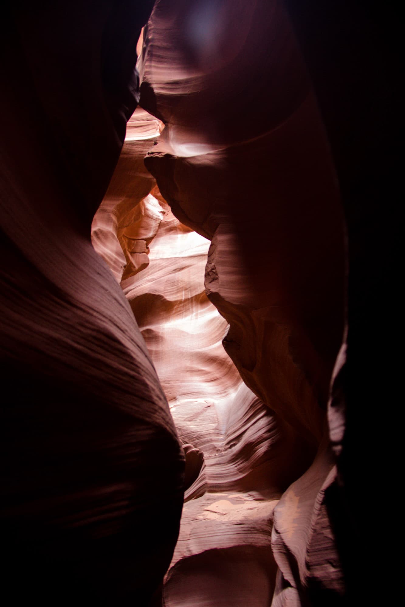 Arizona