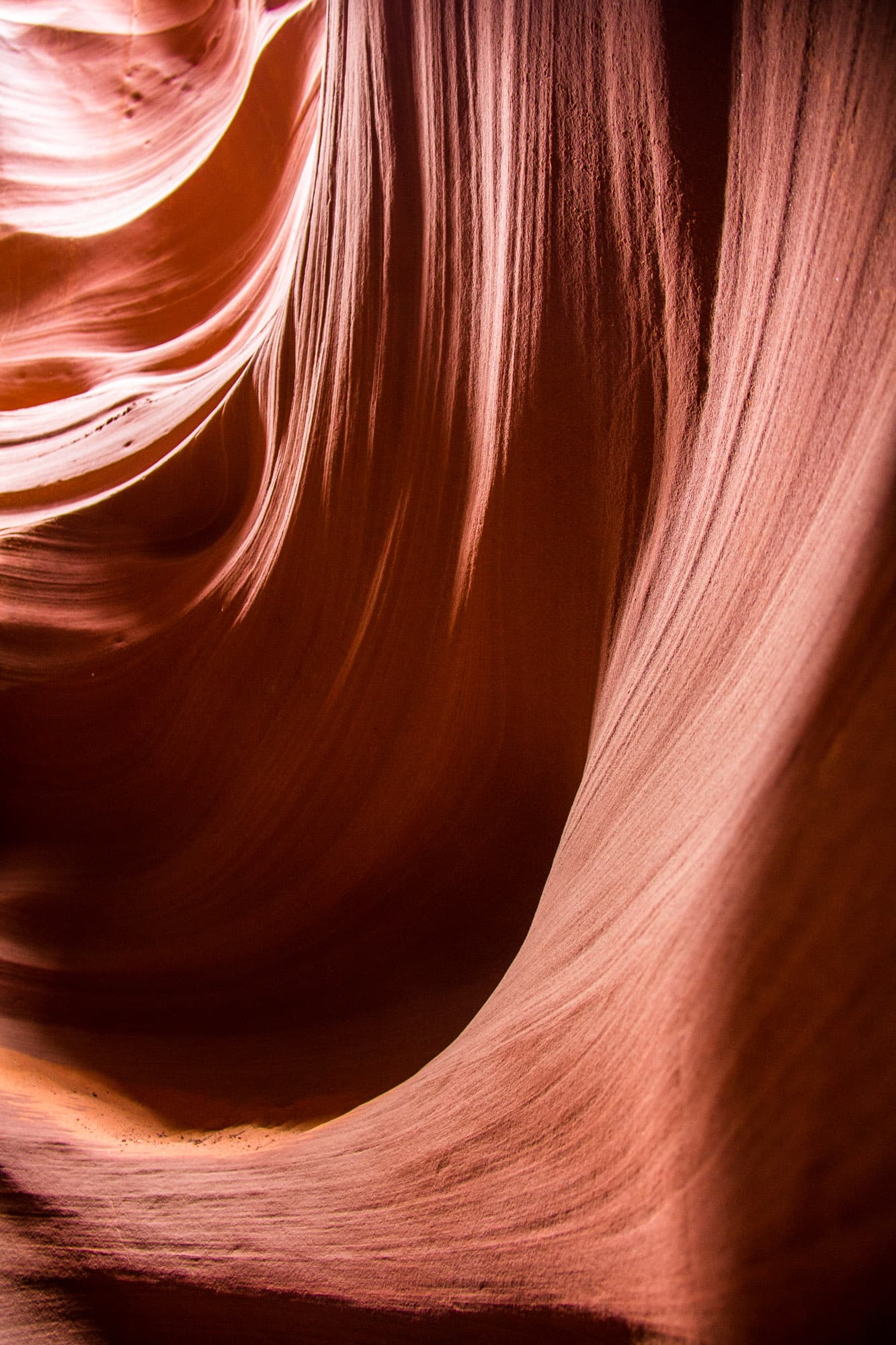 Arizona