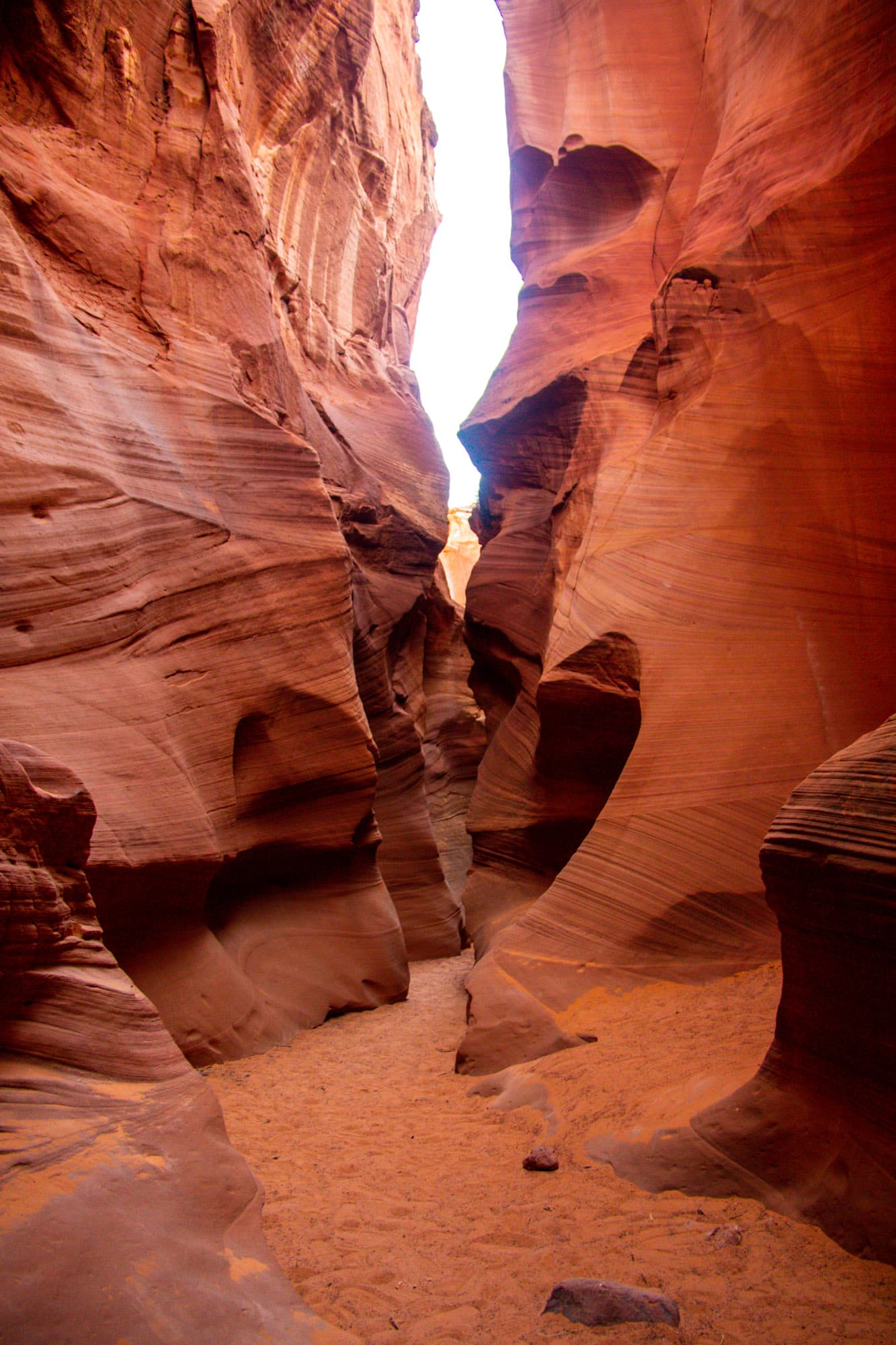 Arizona