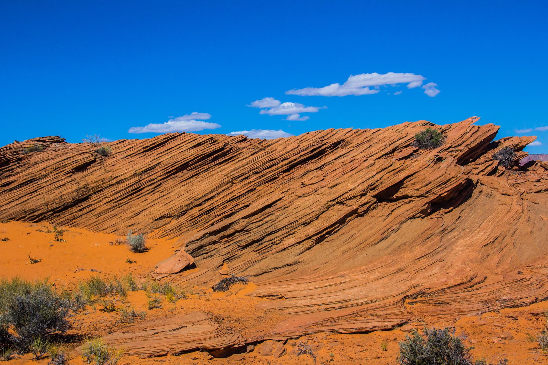 Arizona