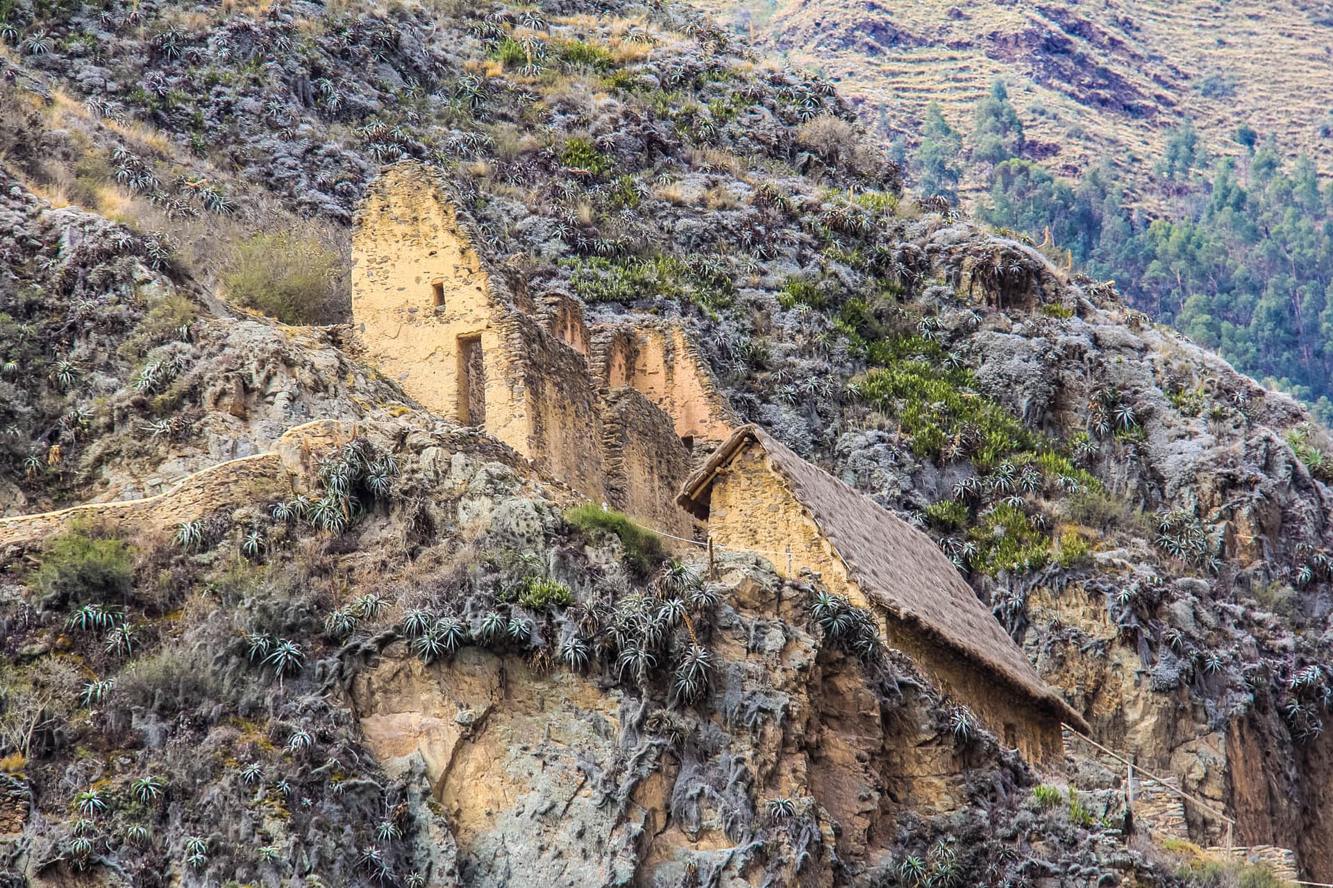 Sacred Valley, Peru