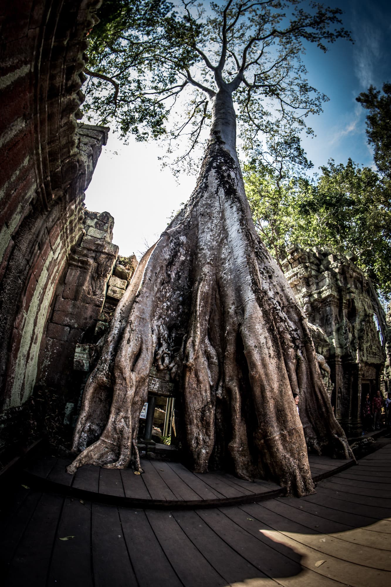 Angkor Wat, Cambodia