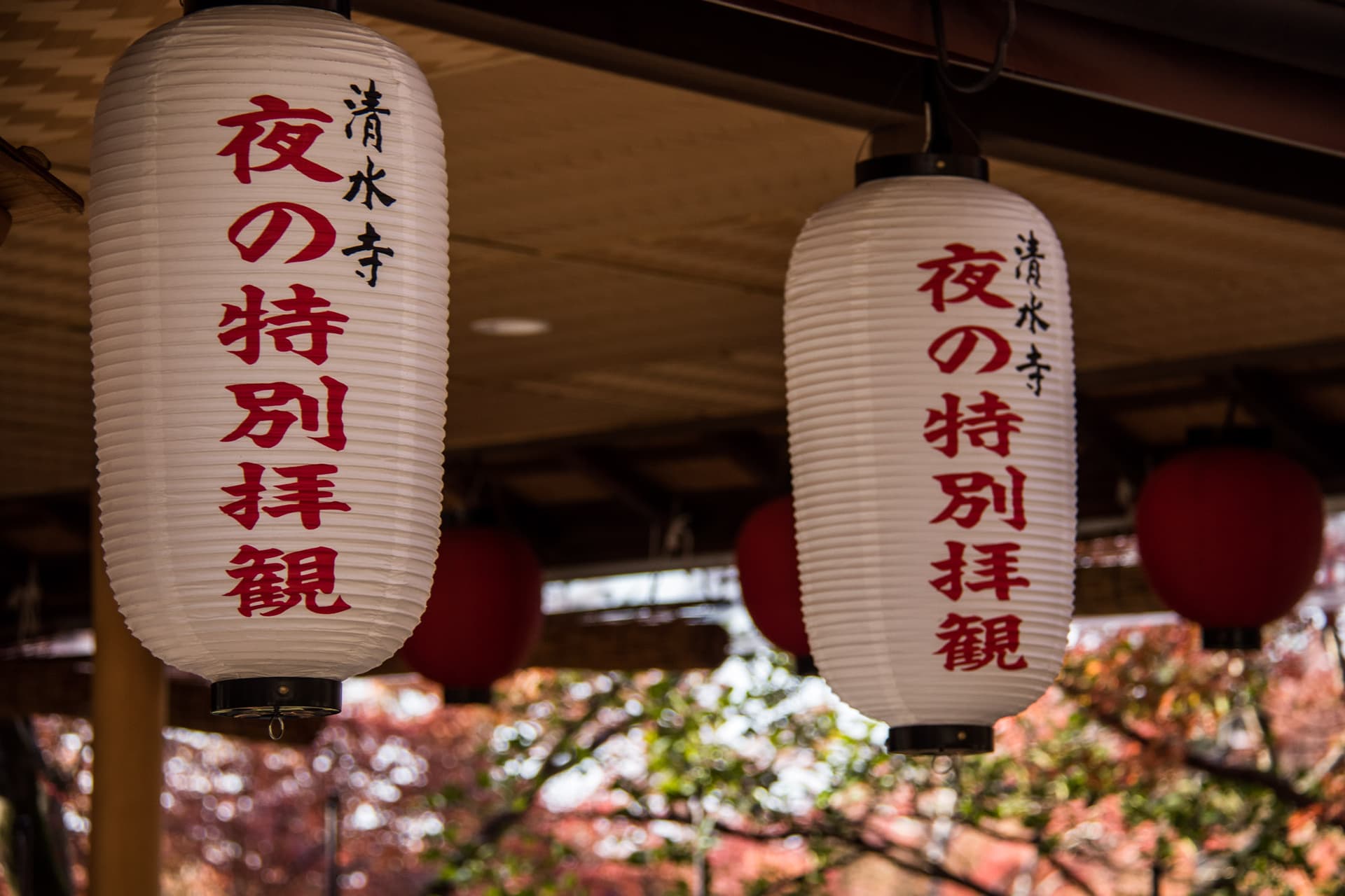 Kyoto, Japan