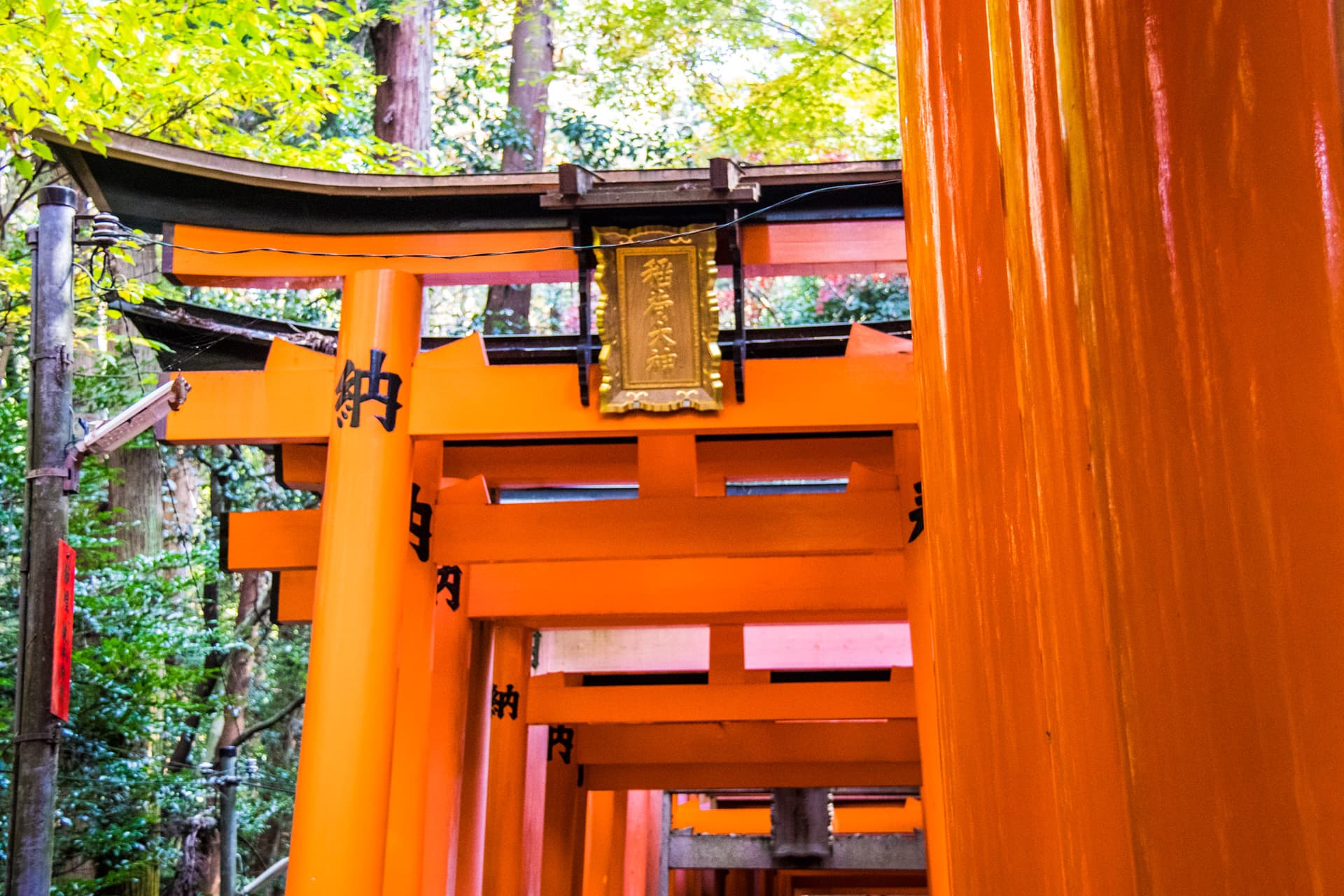 Kyoto, Japan