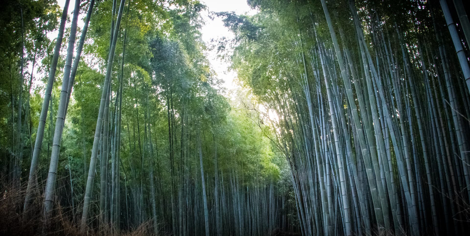 Kyoto, Japan
