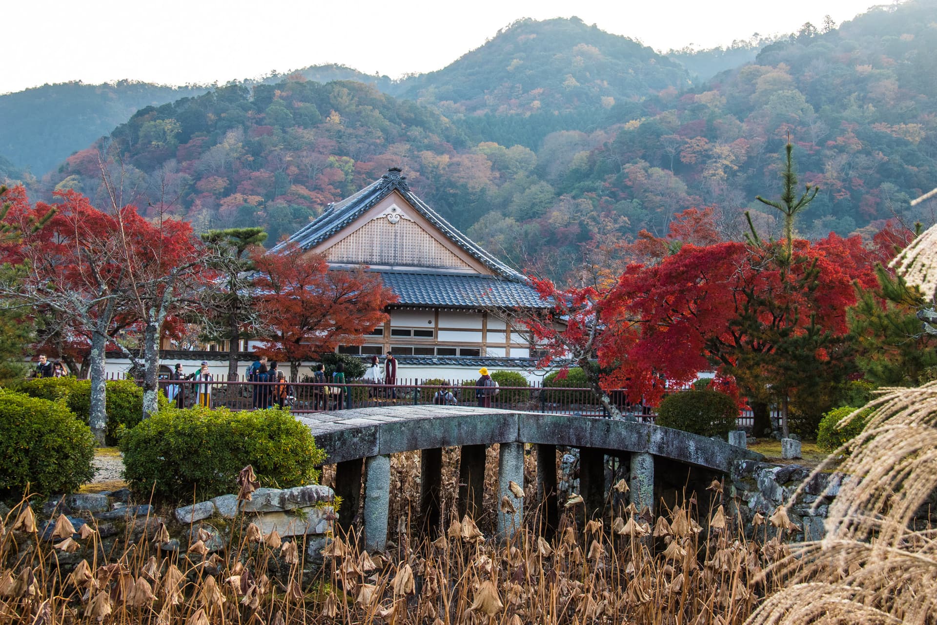 Kyoto, Japan