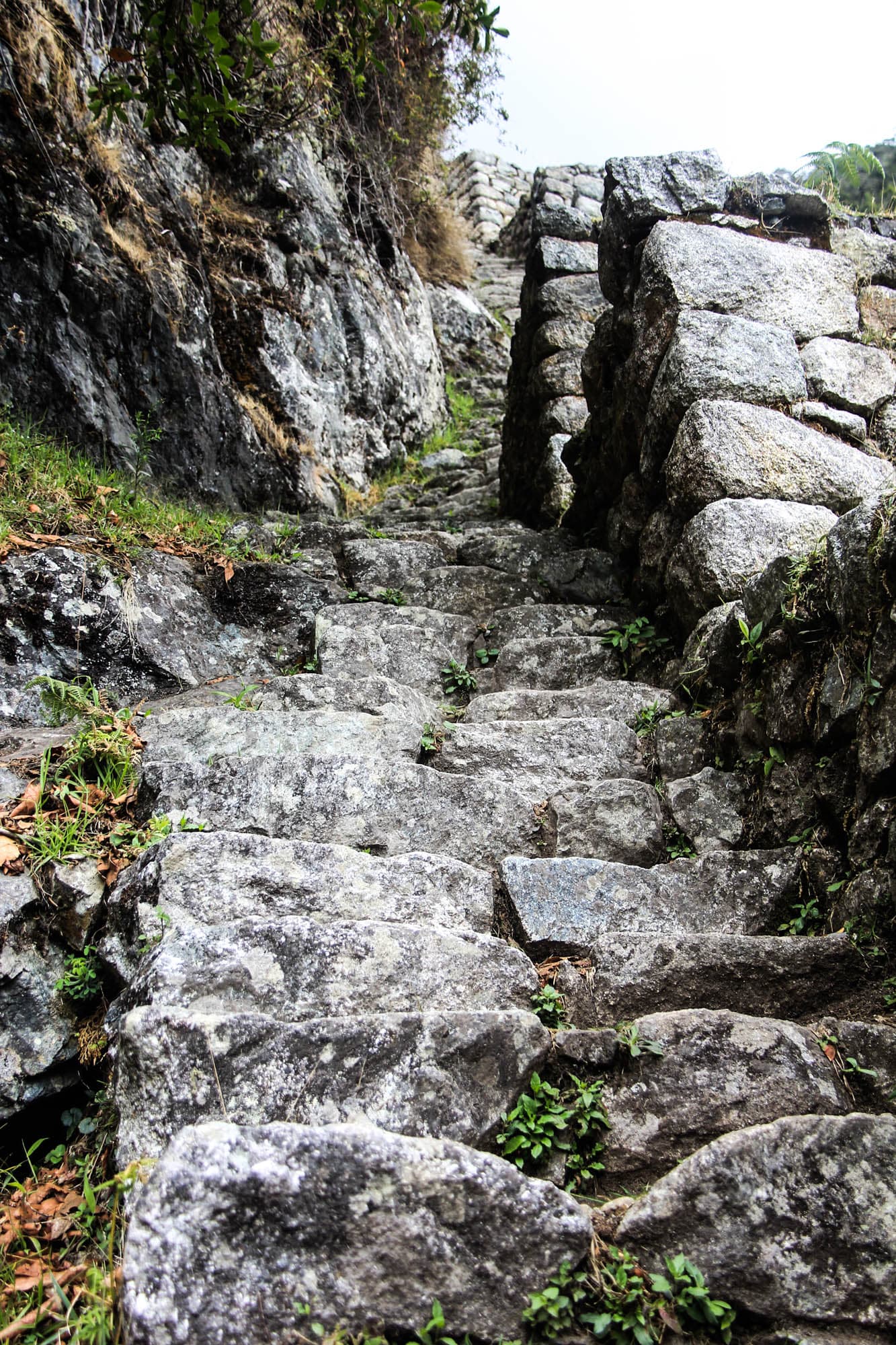 Incan Trail & Machu Picchu