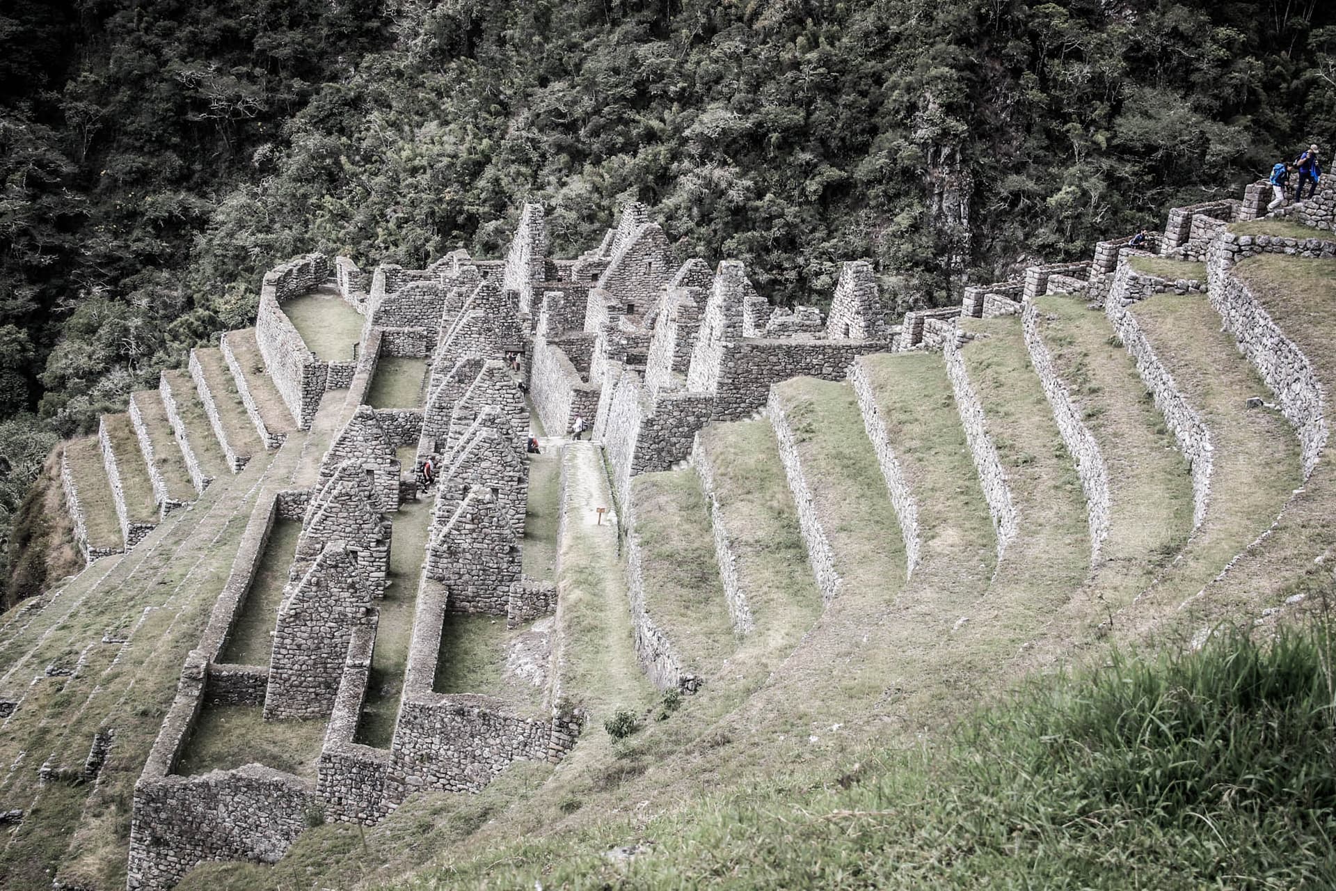 Incan Trail & Machu Picchu