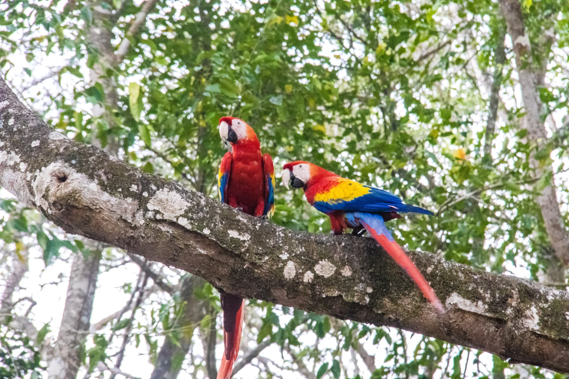Copan, Honduras