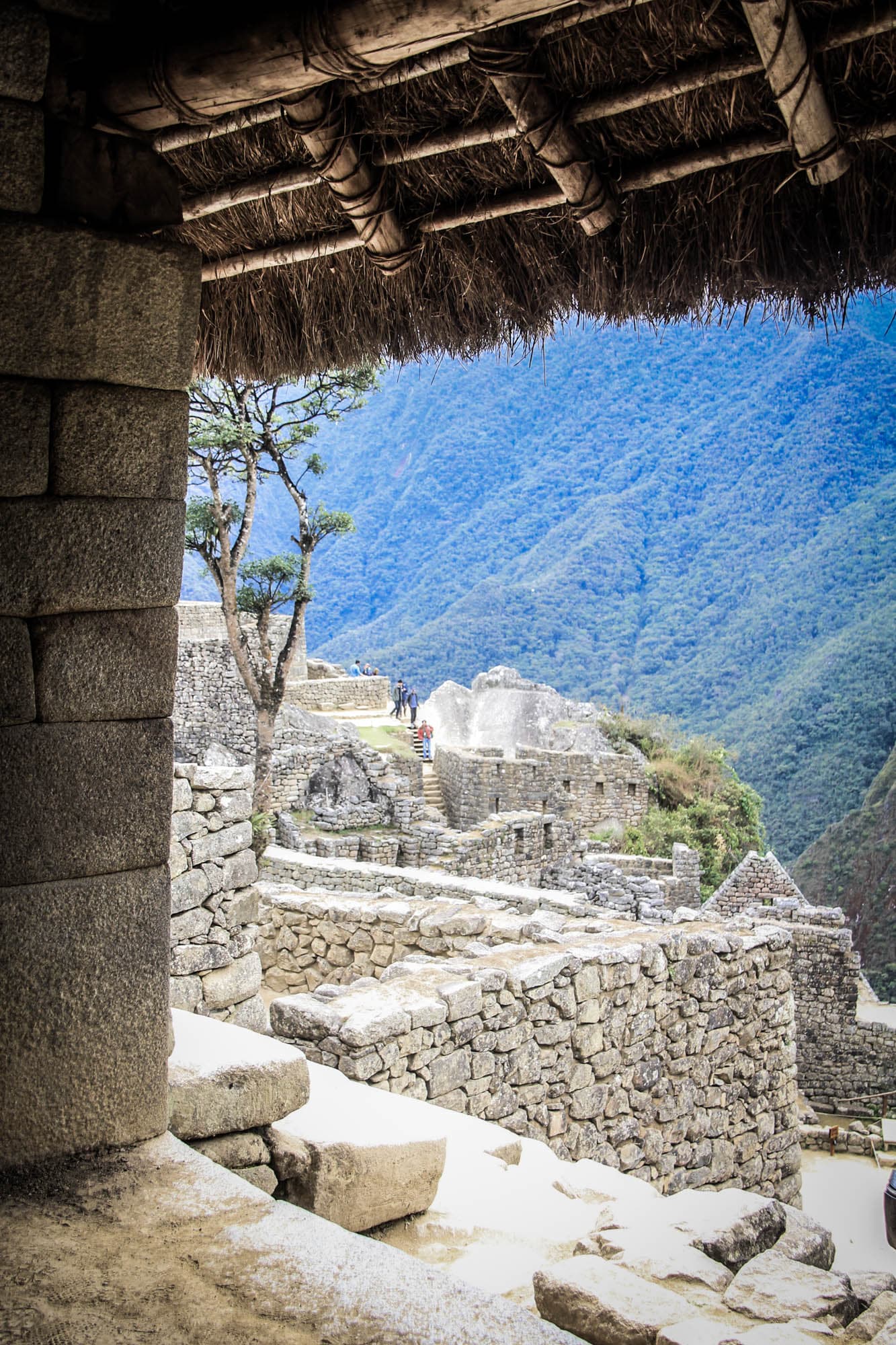Incan Trail & Machu Picchu