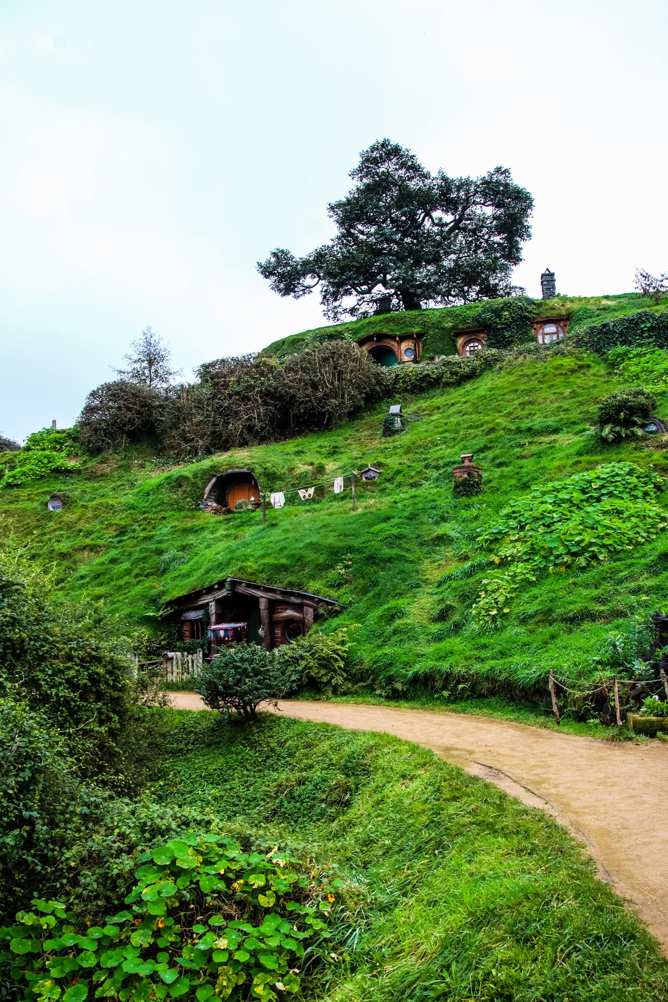 Hobbiton, New Zealand