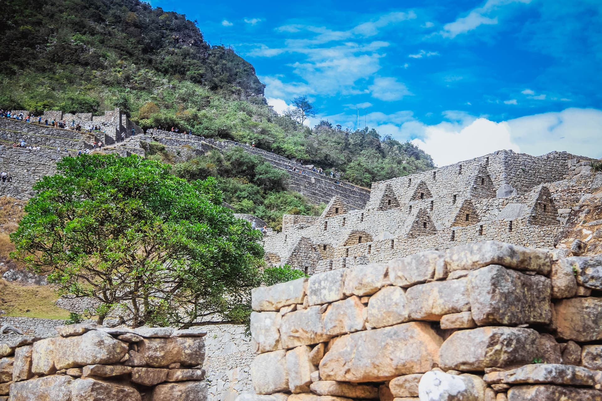 Incan Trail & Machu Picchu