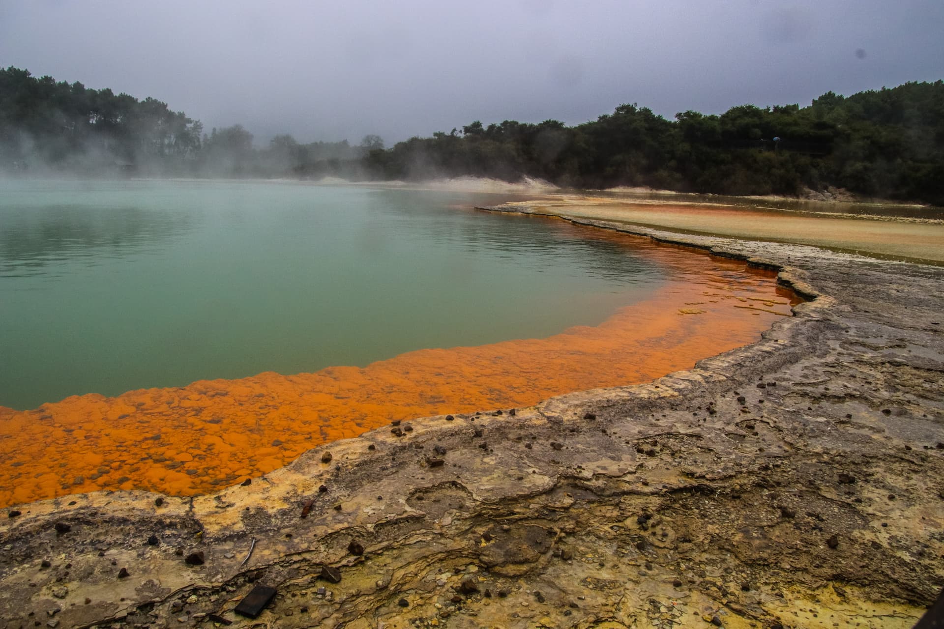 Rotorua, New Zealand