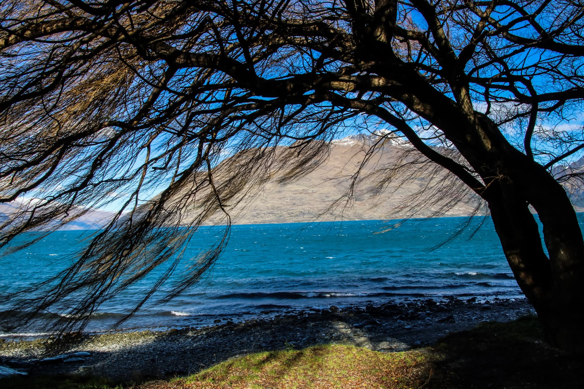 Queenstown & Te-Anau, New Zealand