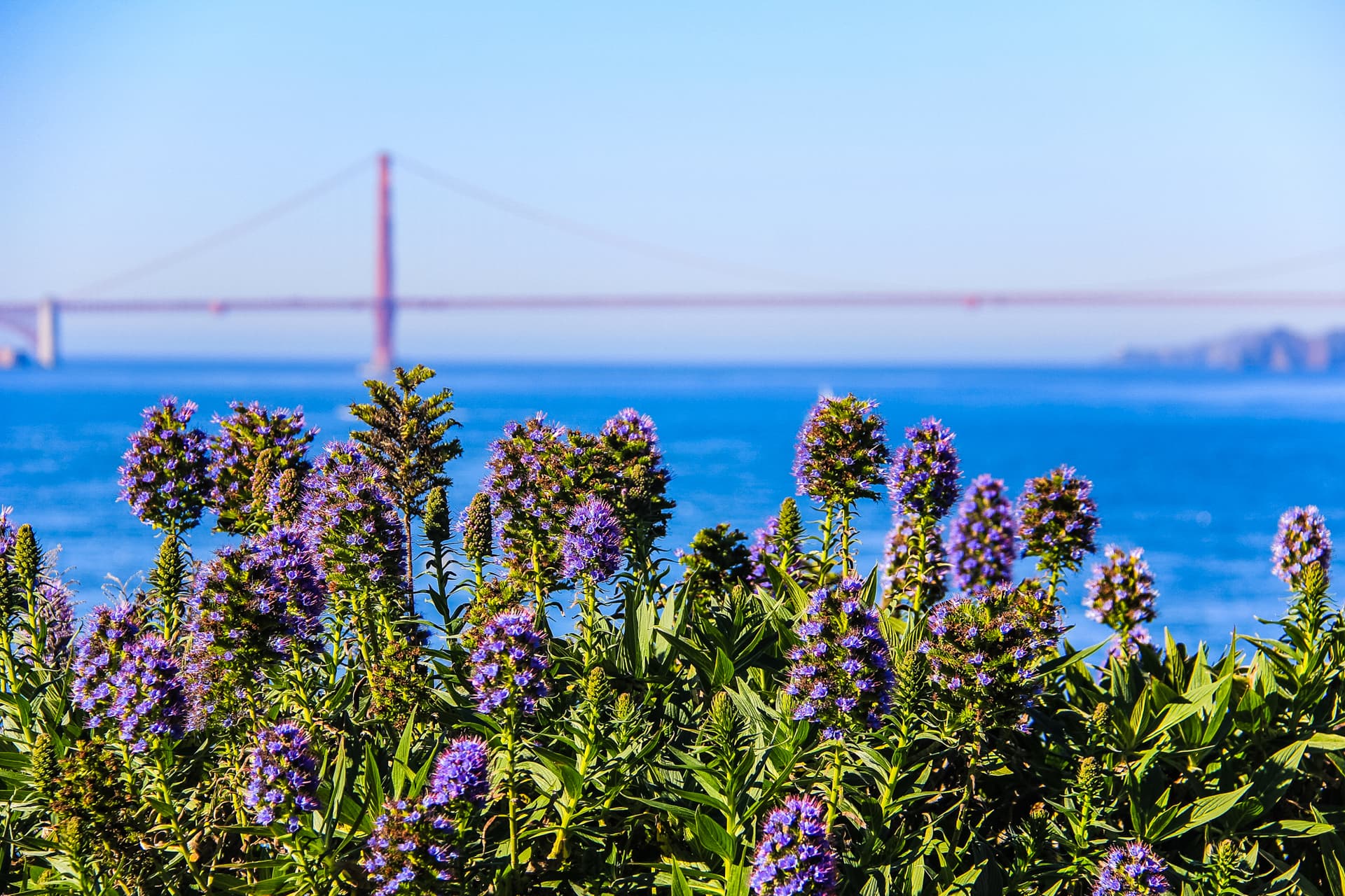 San Fransico, California