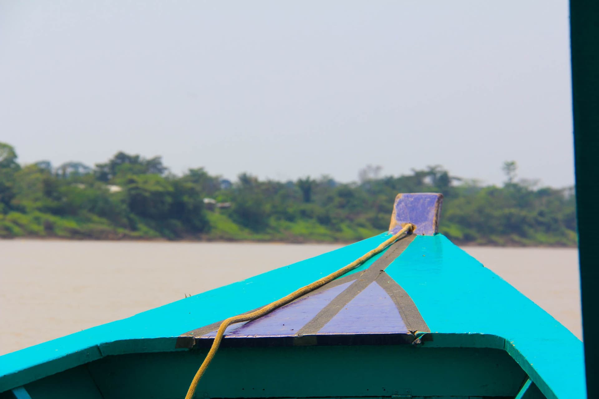 The Peruvian Amazon