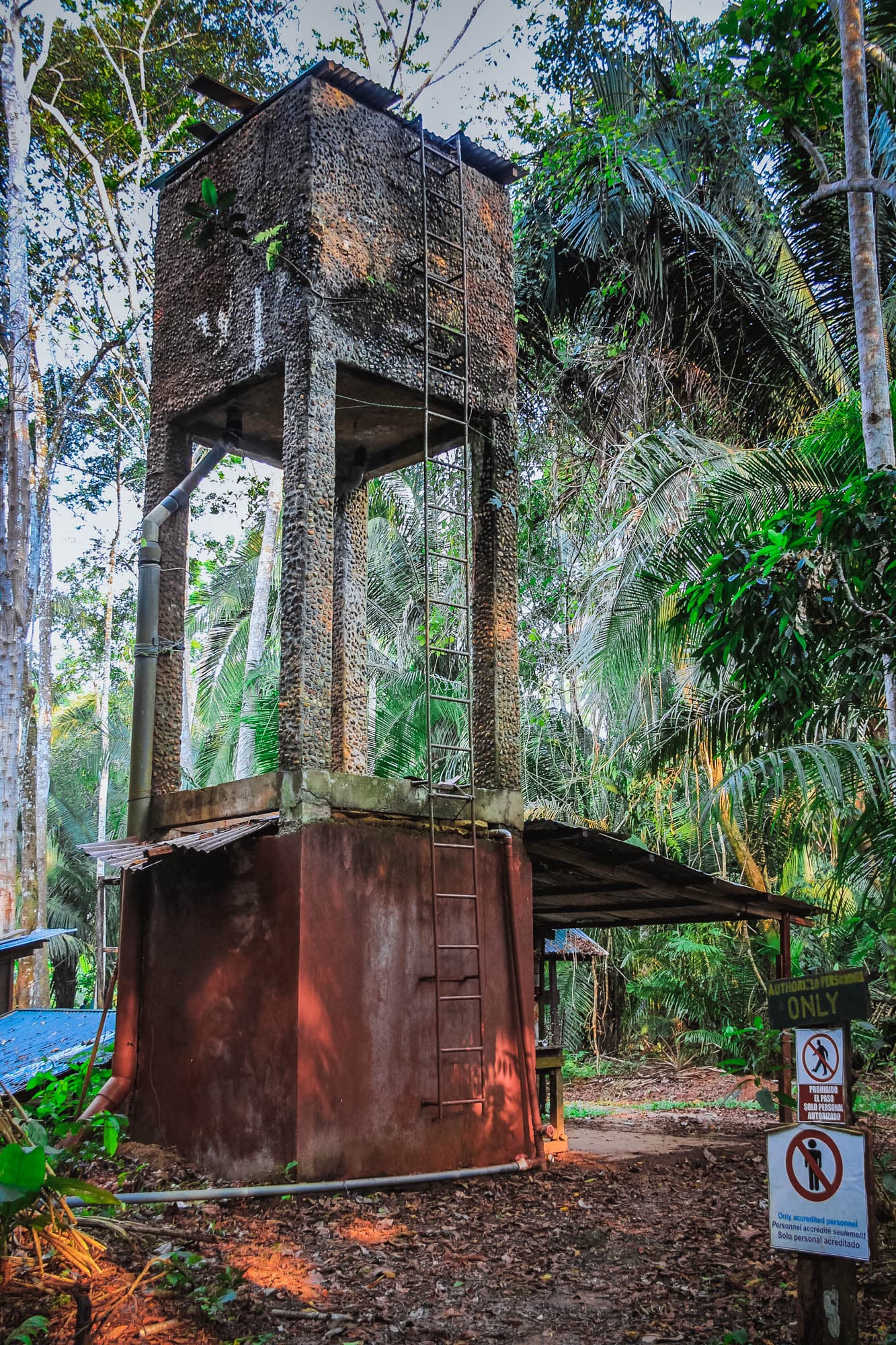 The Peruvian Amazon